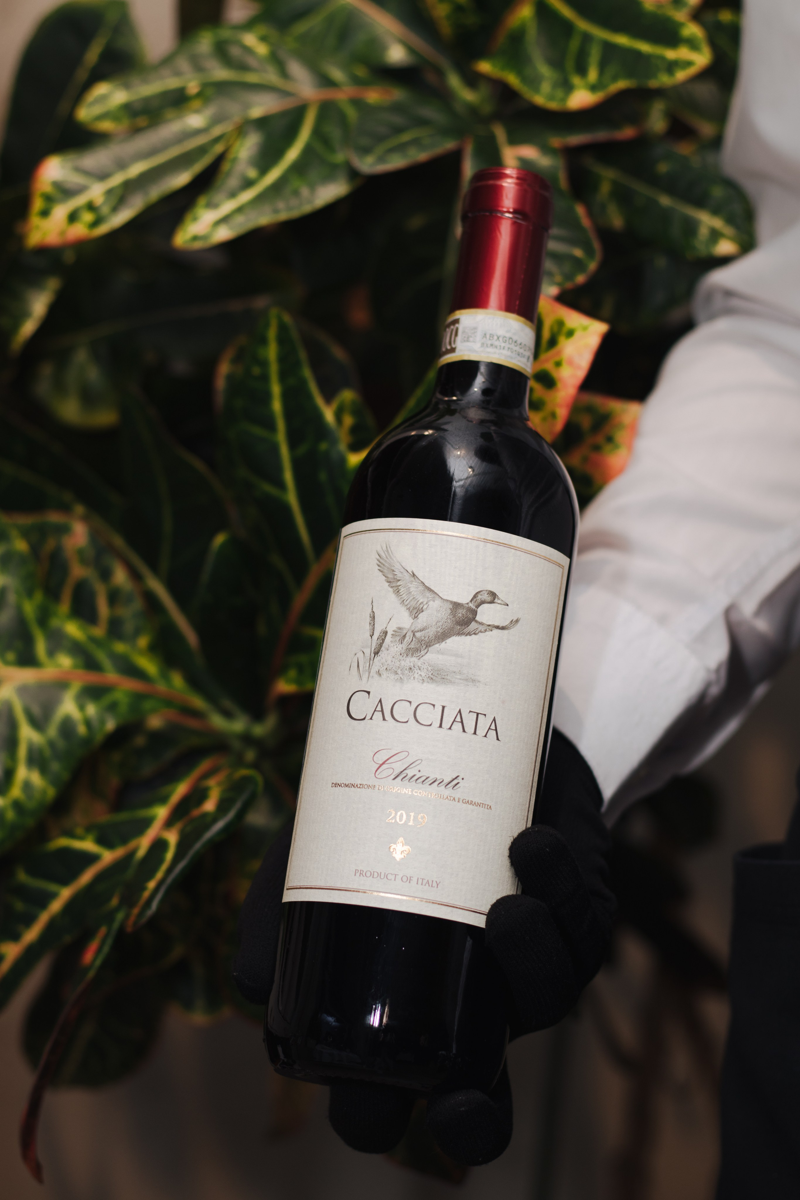 Репортаж. Фотограф в Санкт-Петербурге Евгения Махова