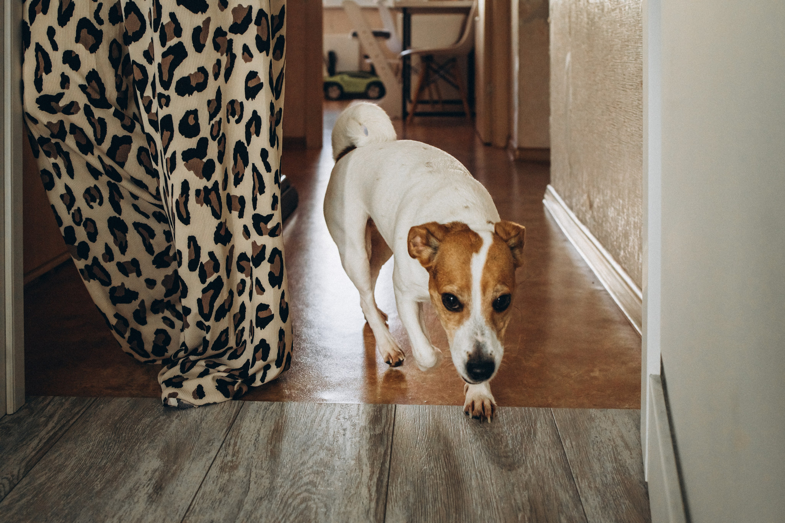 GOOD AT HOME. Фотограф Наталья Карякина|Челябинск