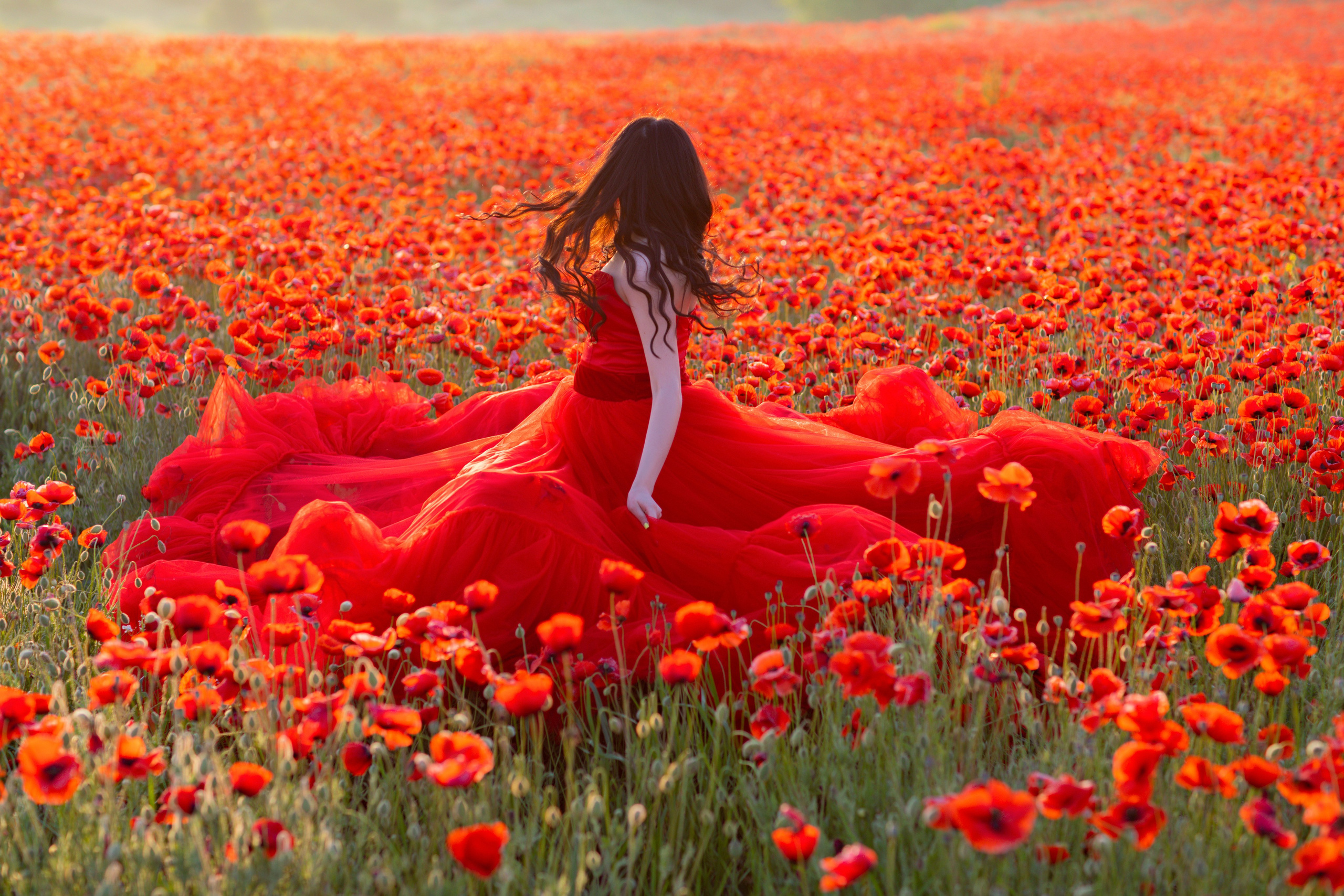 Фотограф Севастополь/Крым Светлана Евтушенко