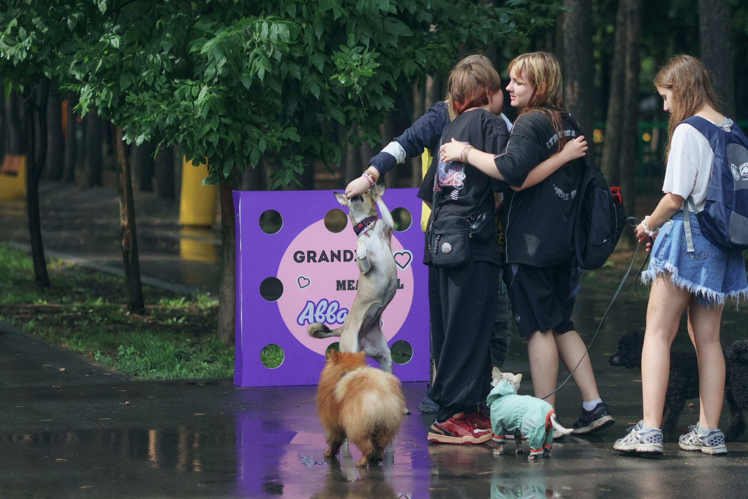 Четыре Лапы. Свадебный и репортажный фотограф Дмитрий Кононенко