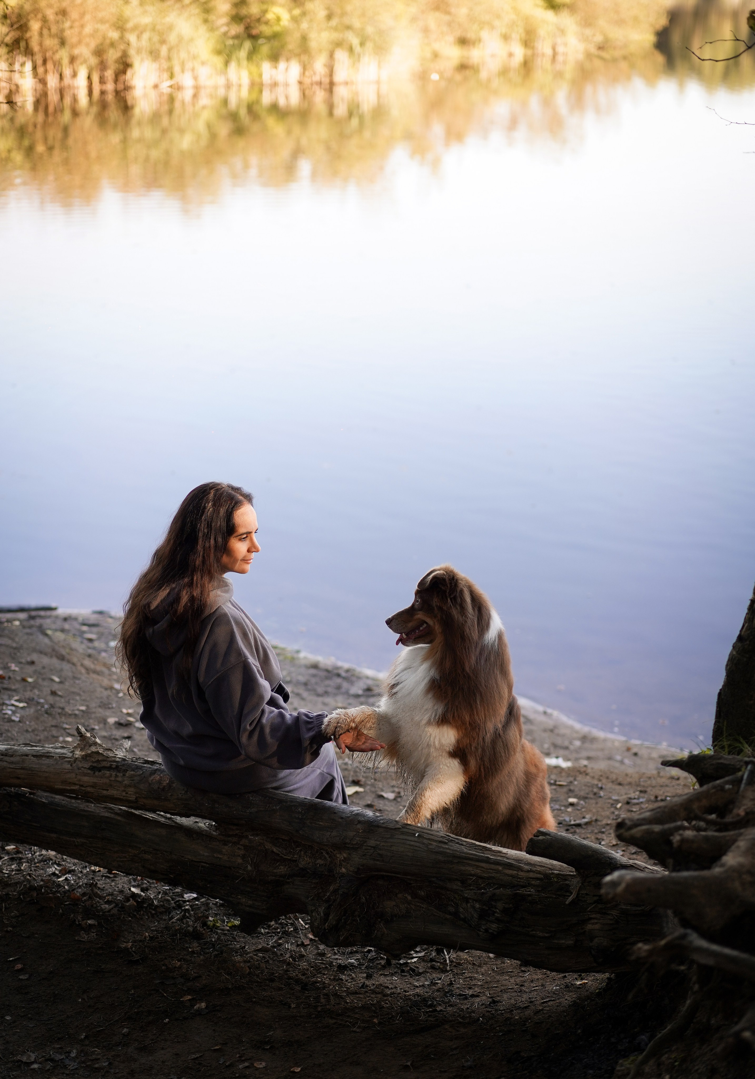 Катя Сэнди и Рокки. Фотограф-анималист в Санкт-Петербурге Яна Мартынова