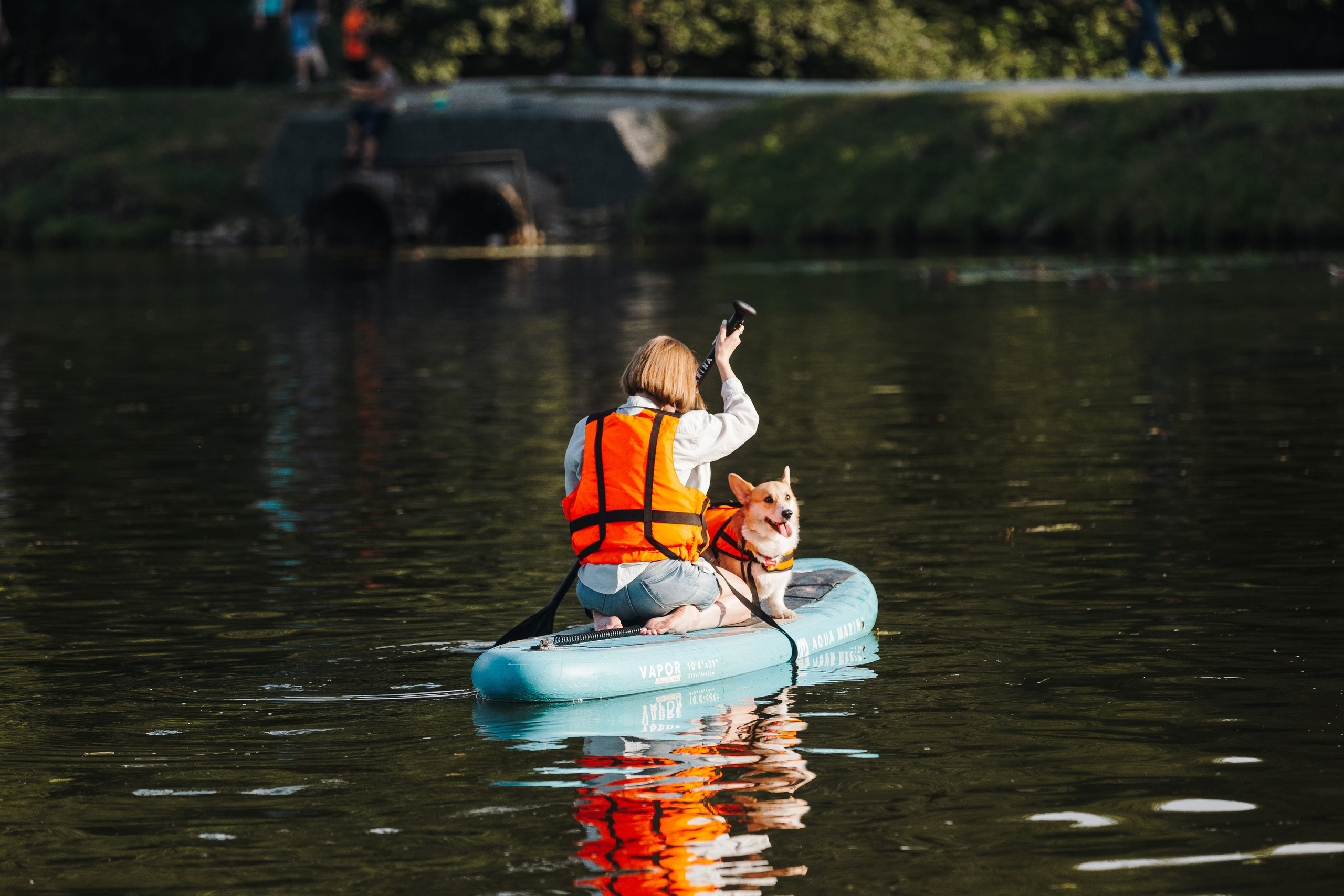 Petshop Sup day. Фотограф анималист Кристина Карпова, Москва
