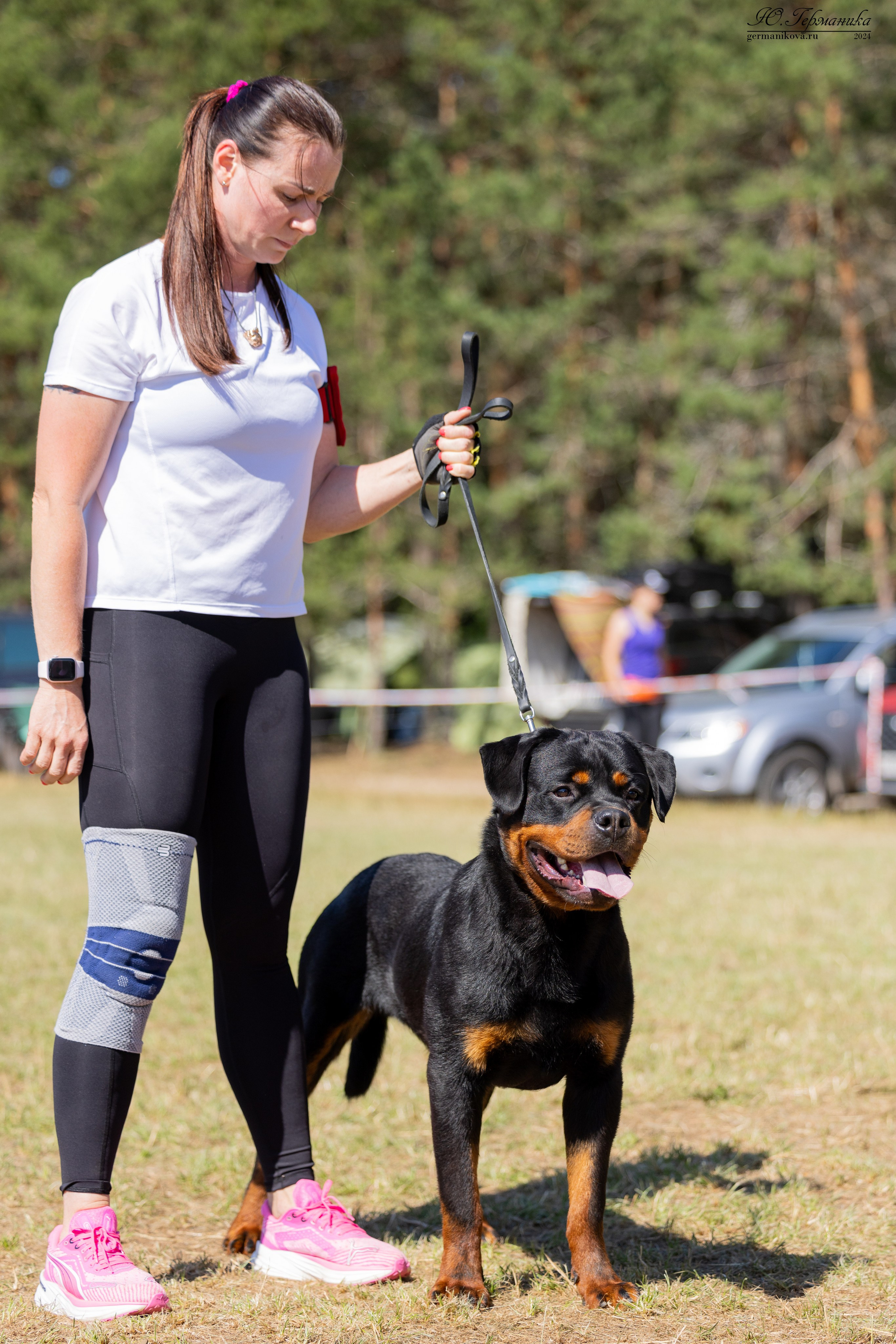 ПК и КЧК ротвейлеры Тверь 6-7.07.2024. Фотограф-анималист Юлия Германика