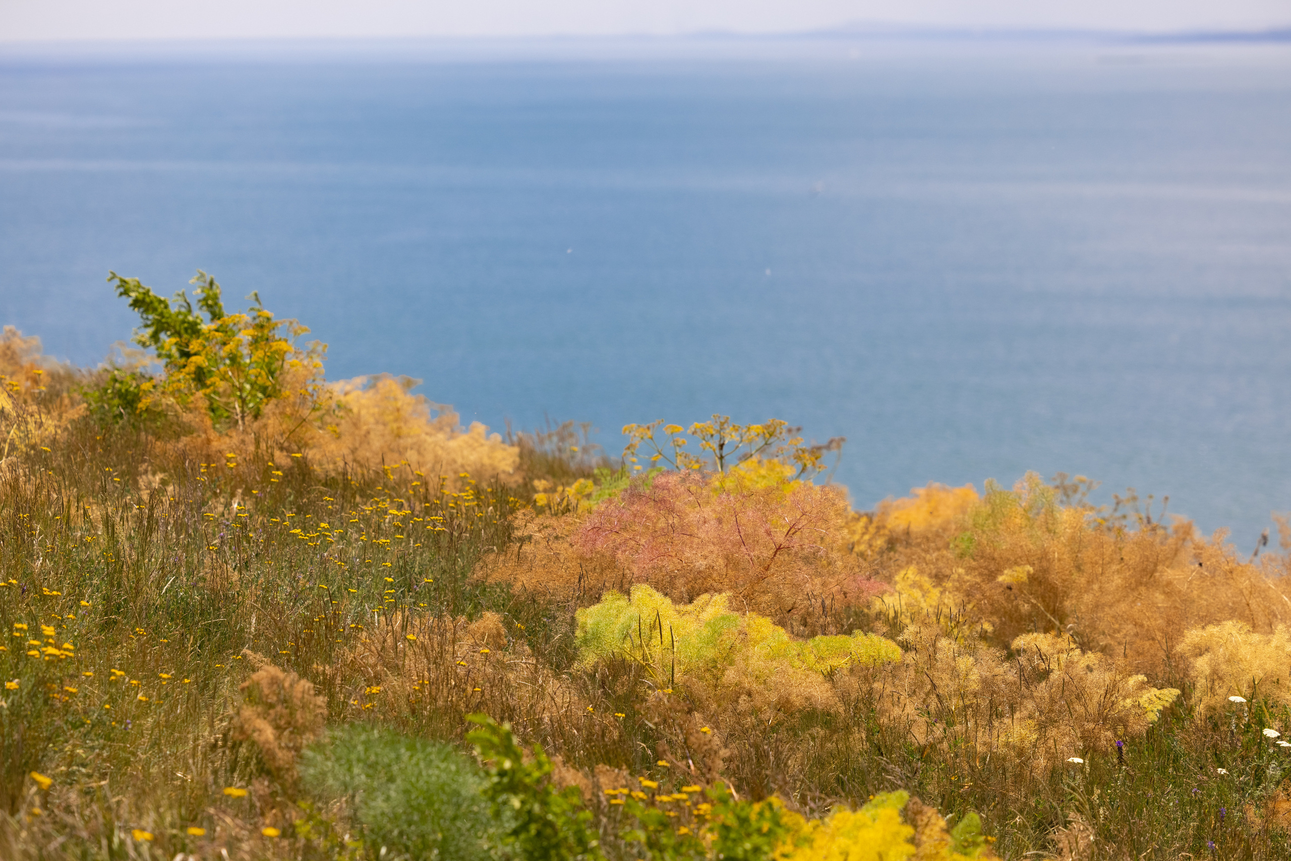 Wall. Photographs by Tigran Khudaverdyan