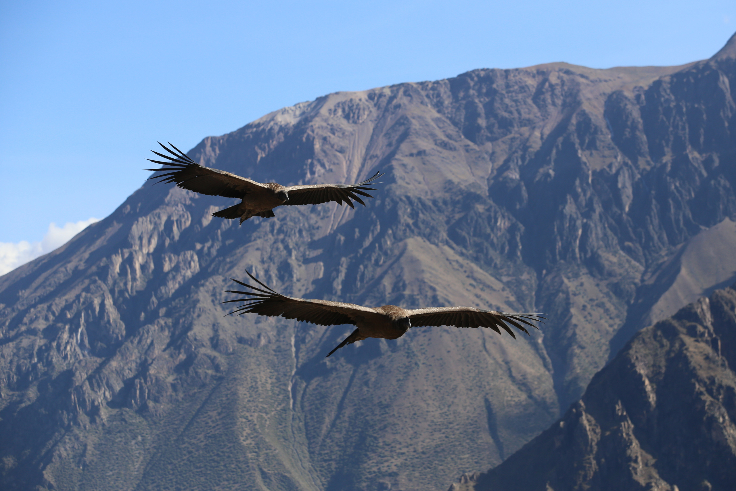 Перу. Фотографии Тиграна Худавердяна