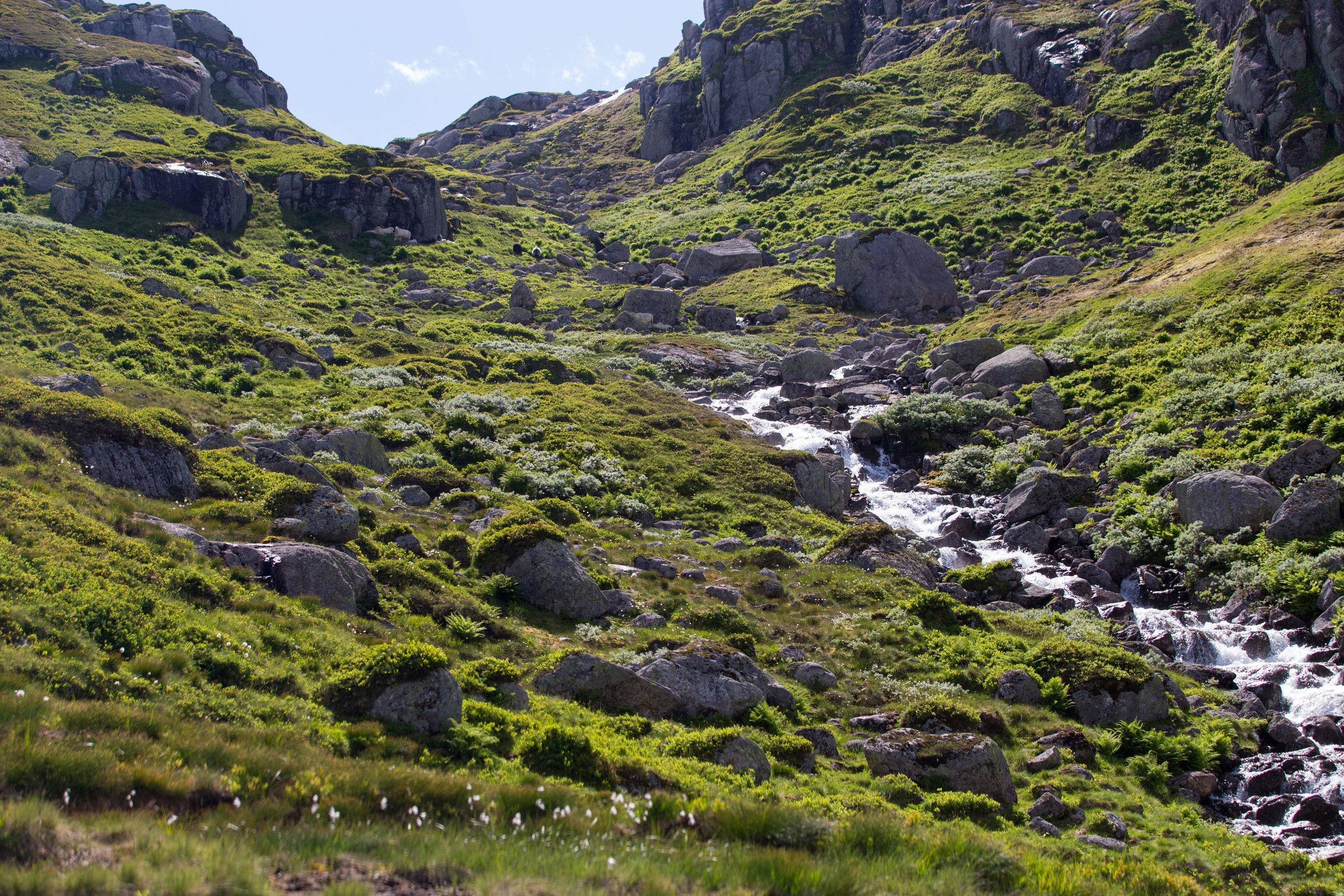 Норвегия. Фотографии Тиграна Худавердяна