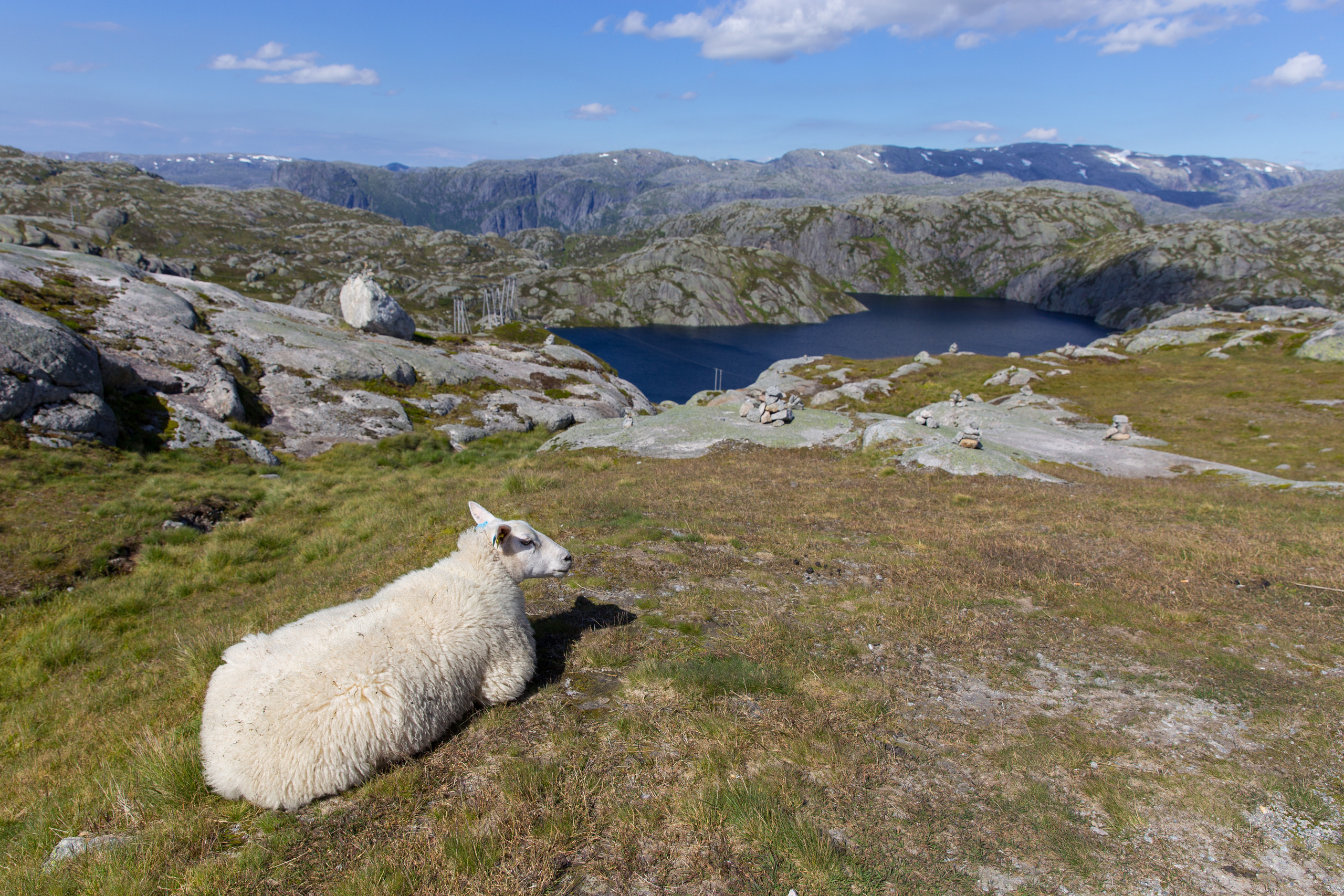 Норвегия. Фотографии Тиграна Худавердяна
