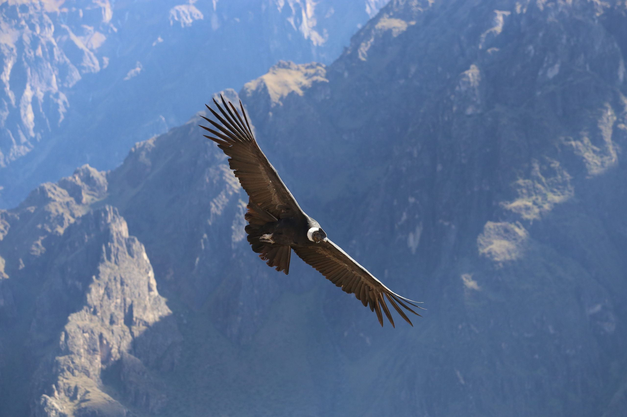 Перу. Фотографии Тиграна Худавердяна