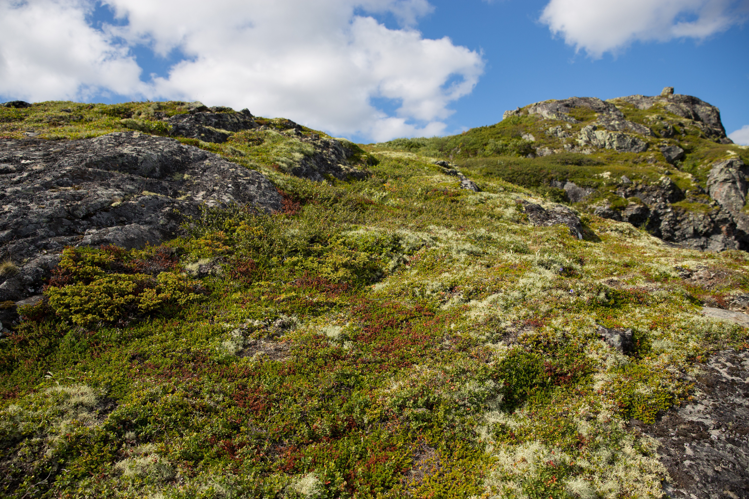 Норвегия. Фотографии Тиграна Худавердяна