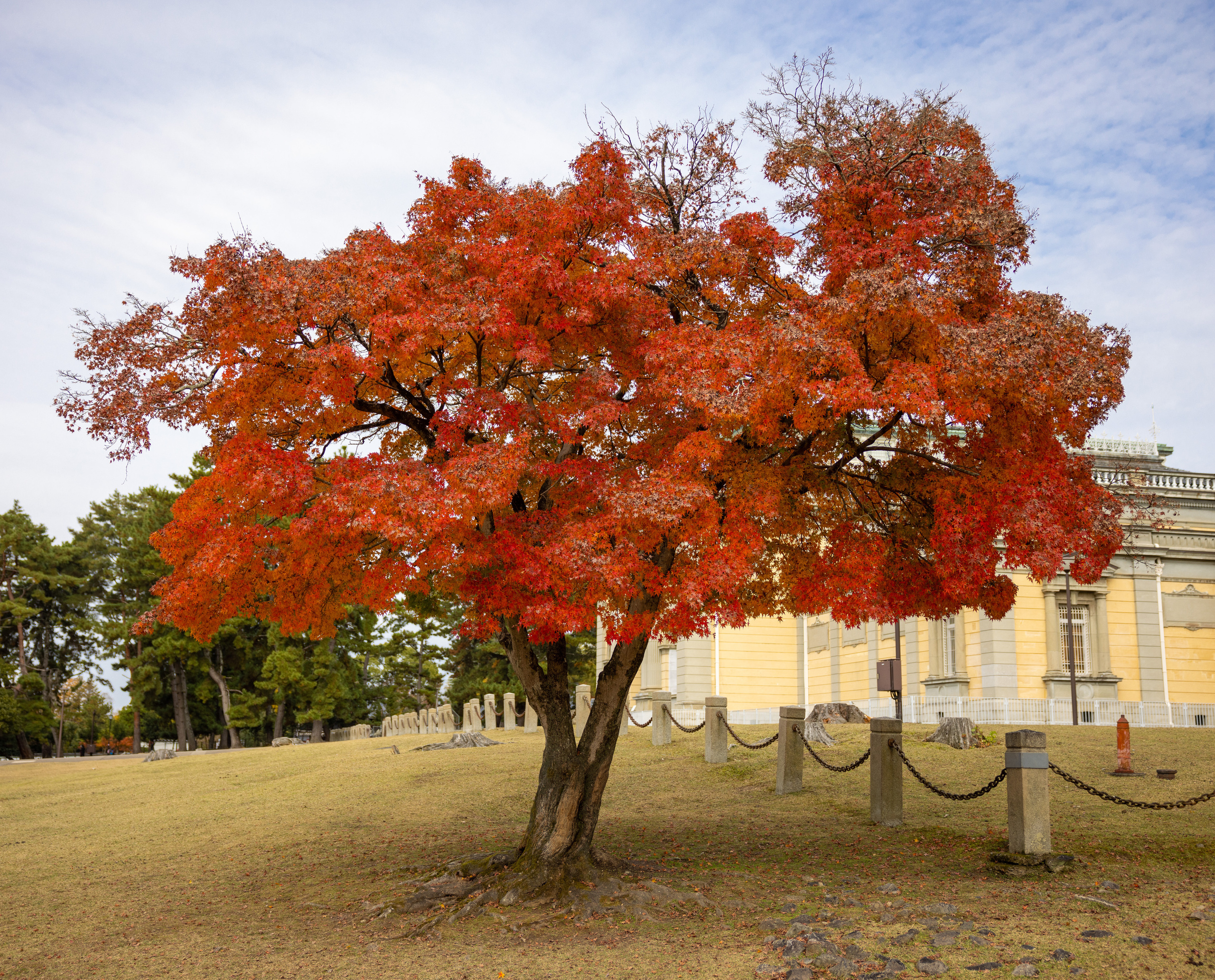 Япония. Фотографии Тиграна Худавердяна