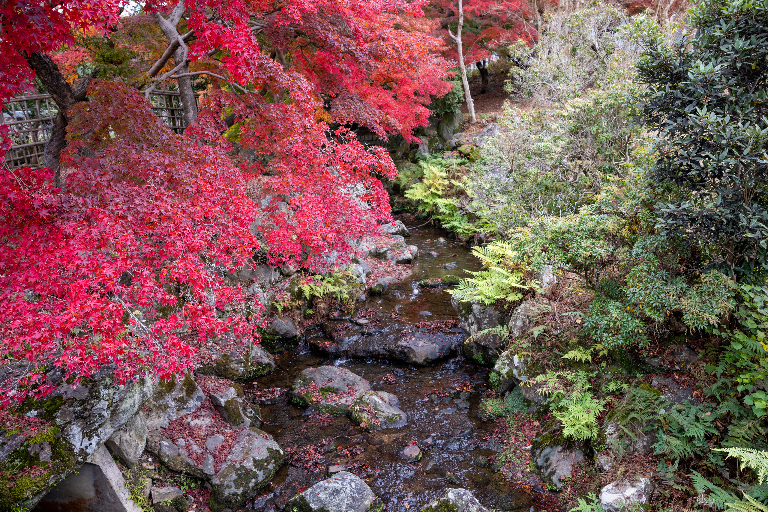 Япония. Фотографии Тиграна Худавердяна
