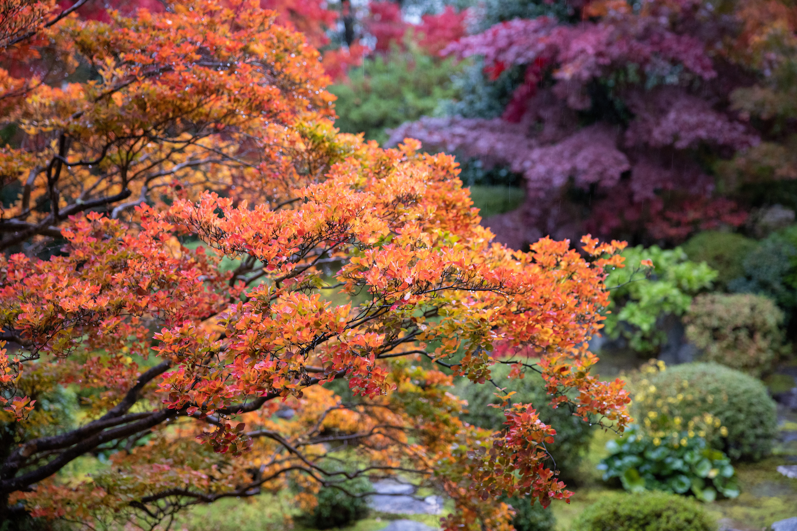 Япония. Фотографии Тиграна Худавердяна