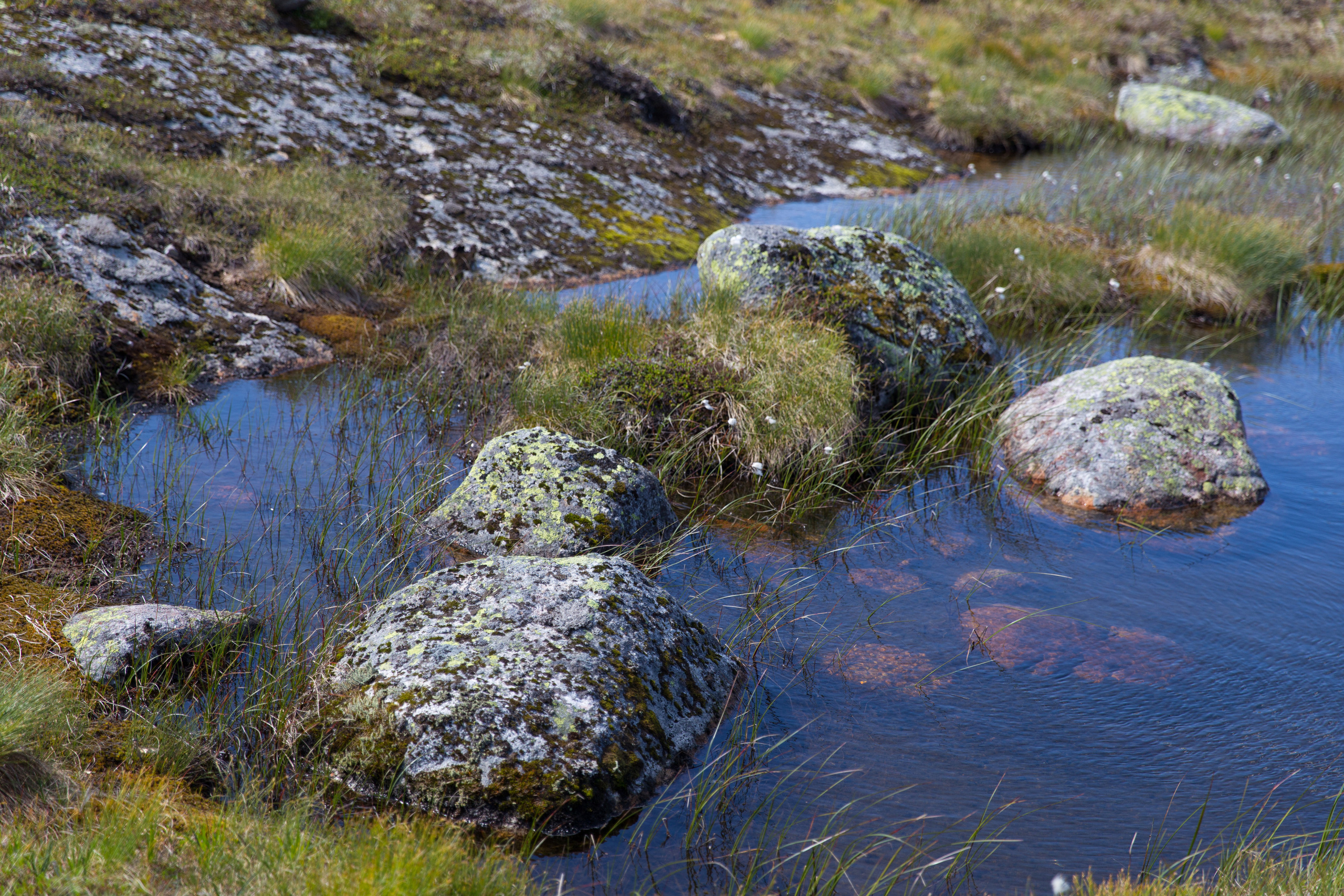 Норвегия. Фотографии Тиграна Худавердяна
