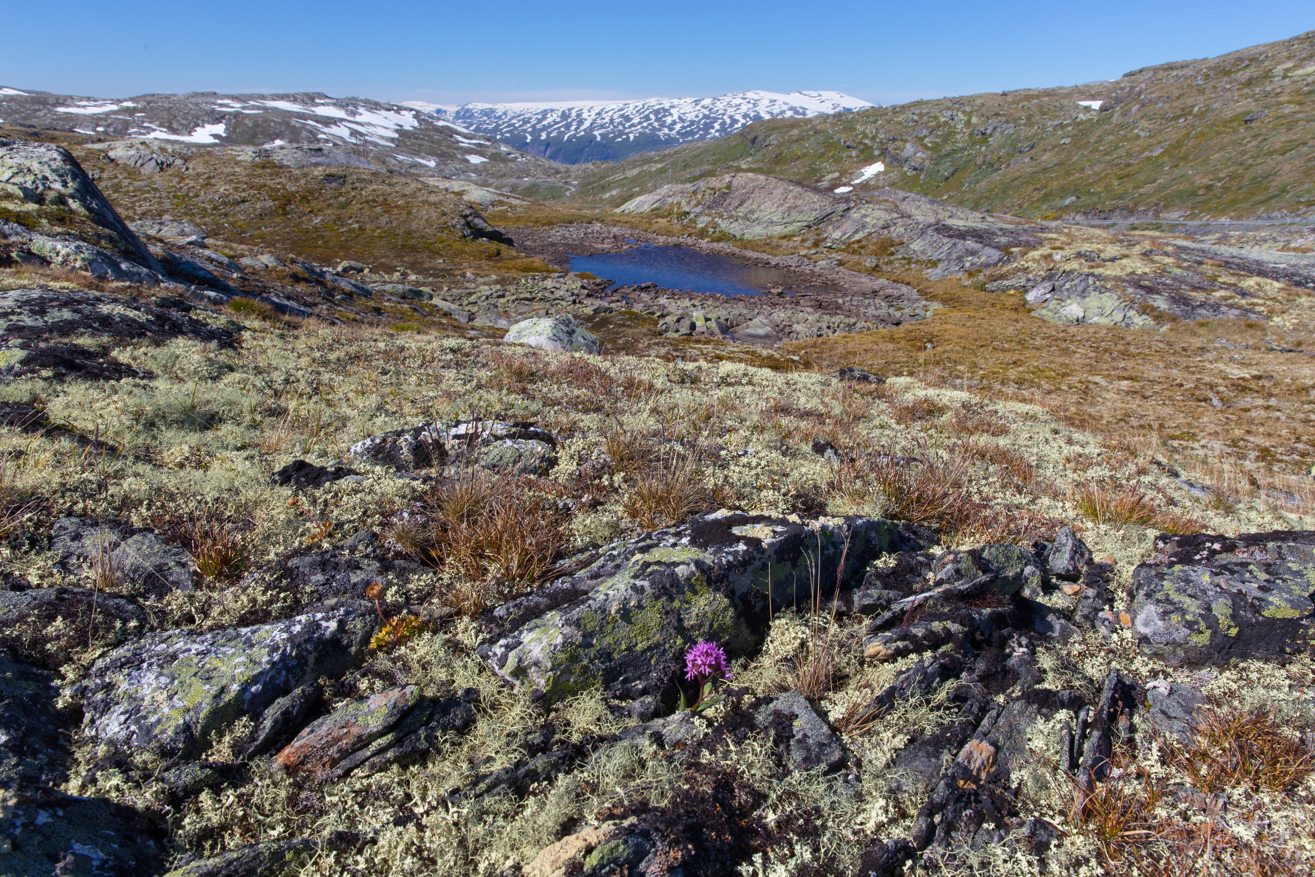 Норвегия. Фотографии Тиграна Худавердяна