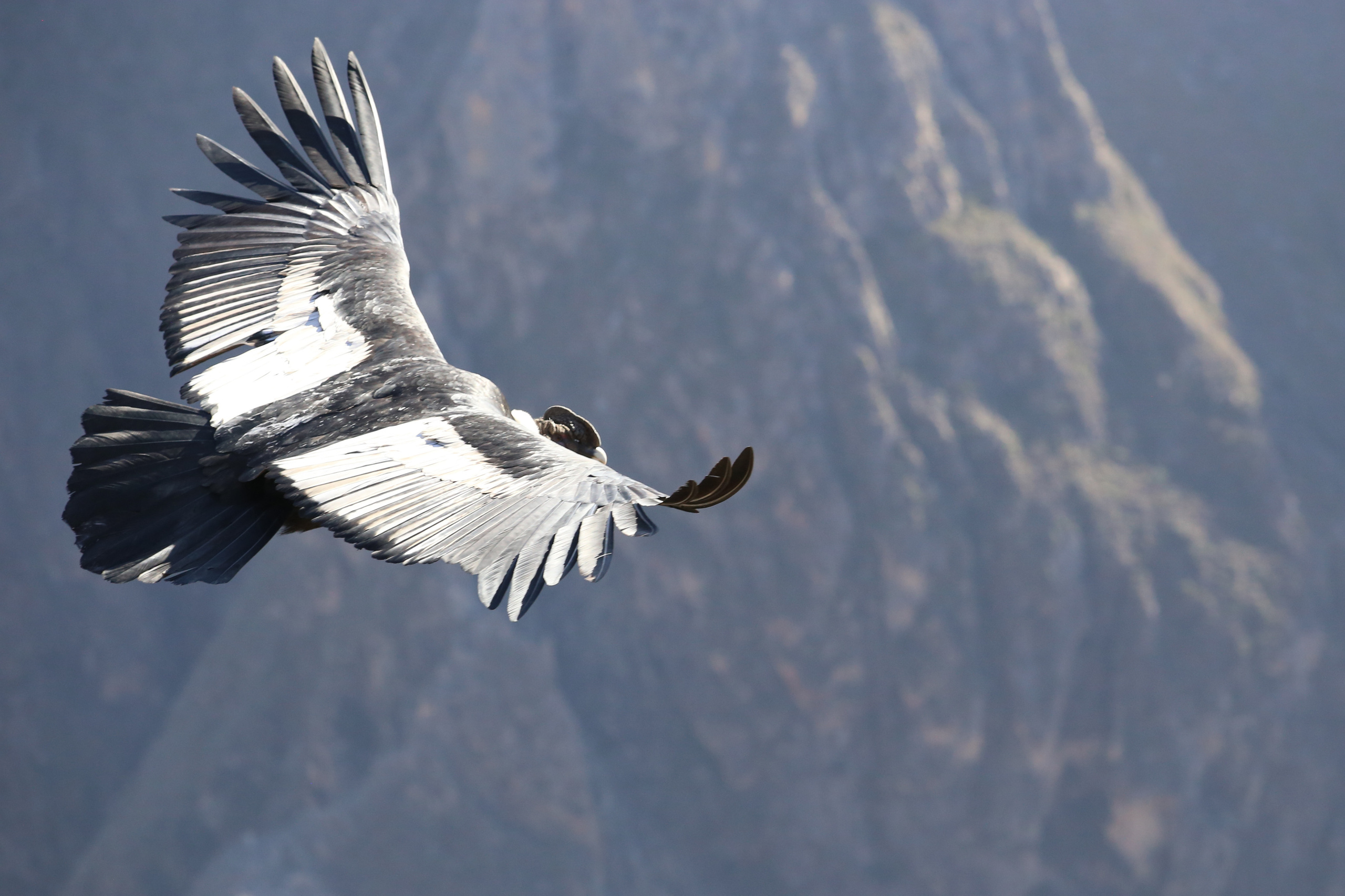 Перу. Фотографии Тиграна Худавердяна