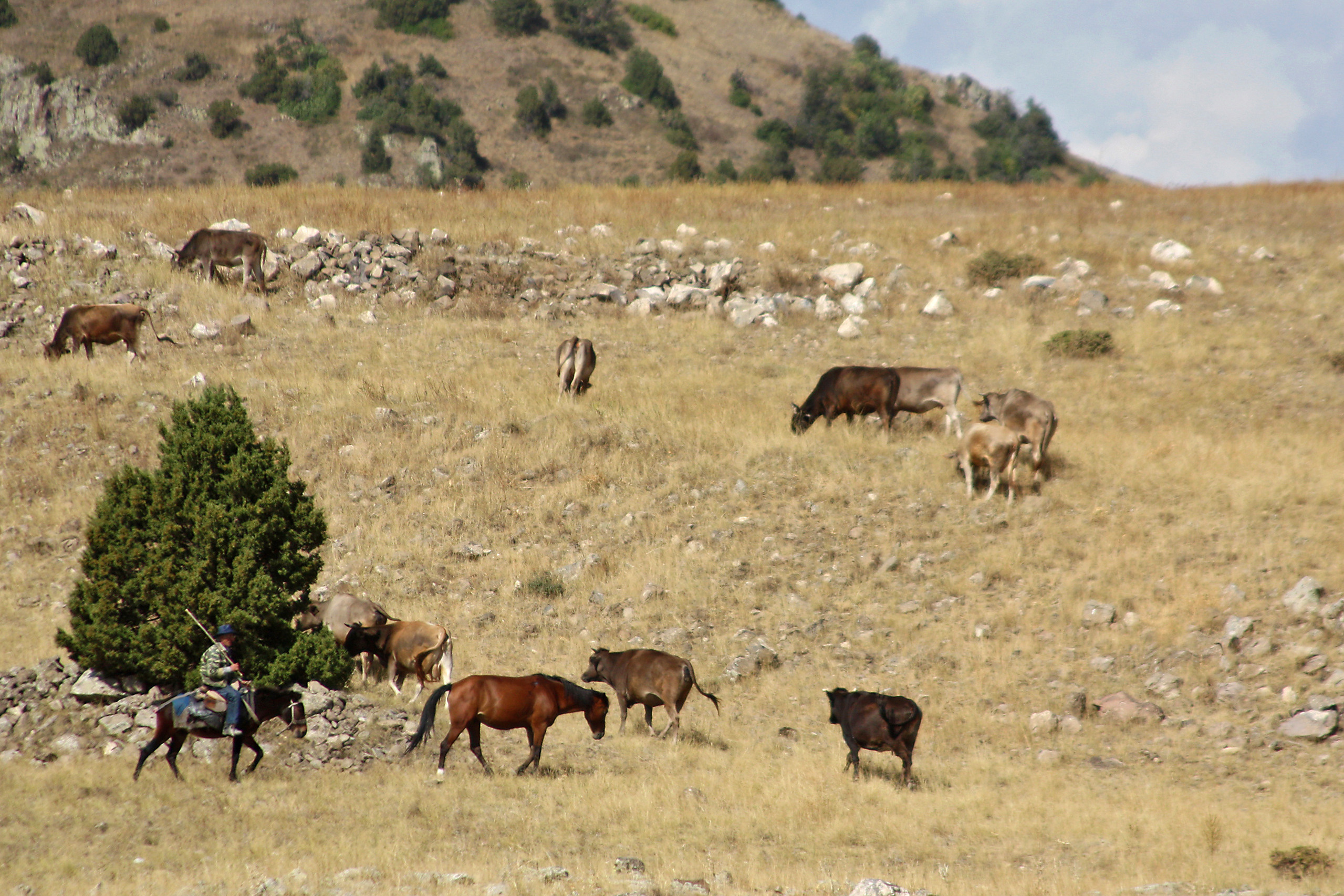 Wall. Photographs by Tigran Khudaverdyan