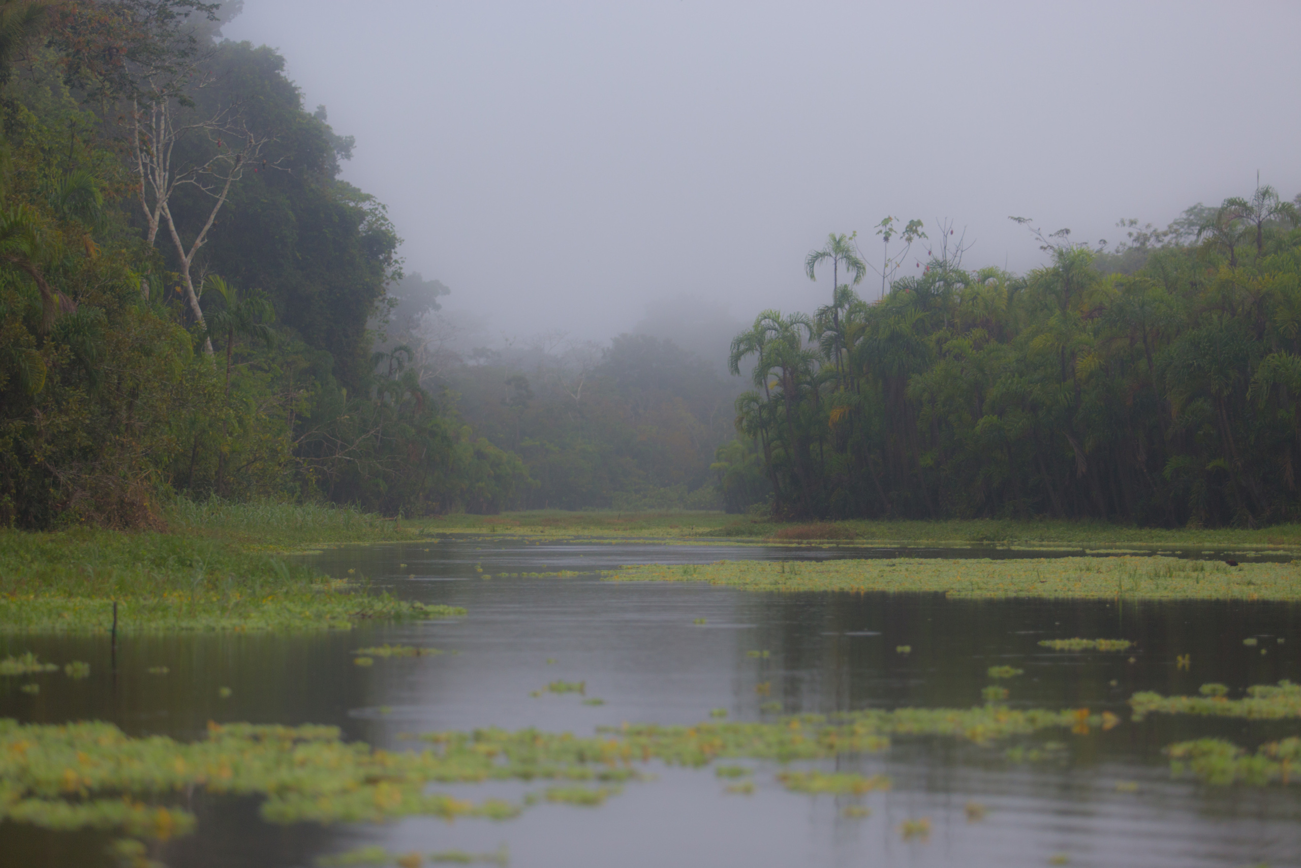 Перу. Фотографии Тиграна Худавердяна