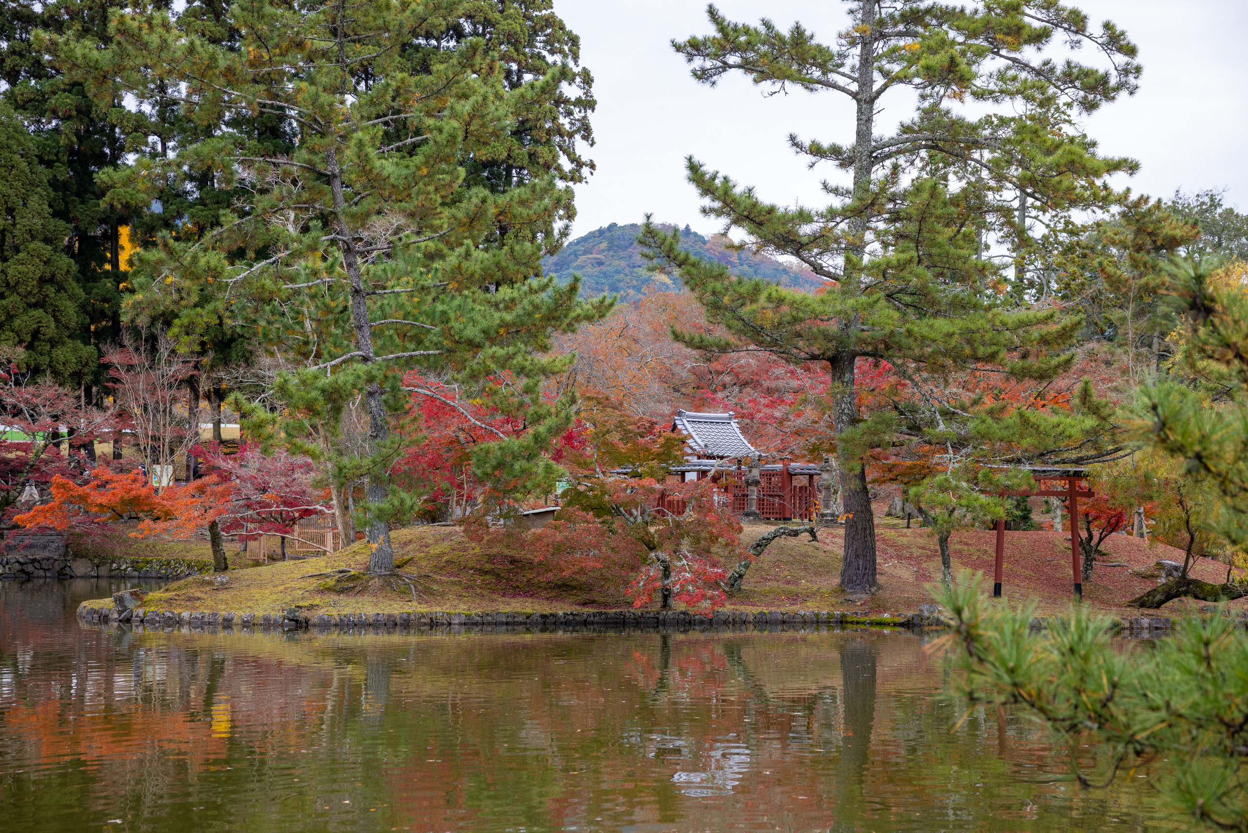 Япония. Фотографии Тиграна Худавердяна