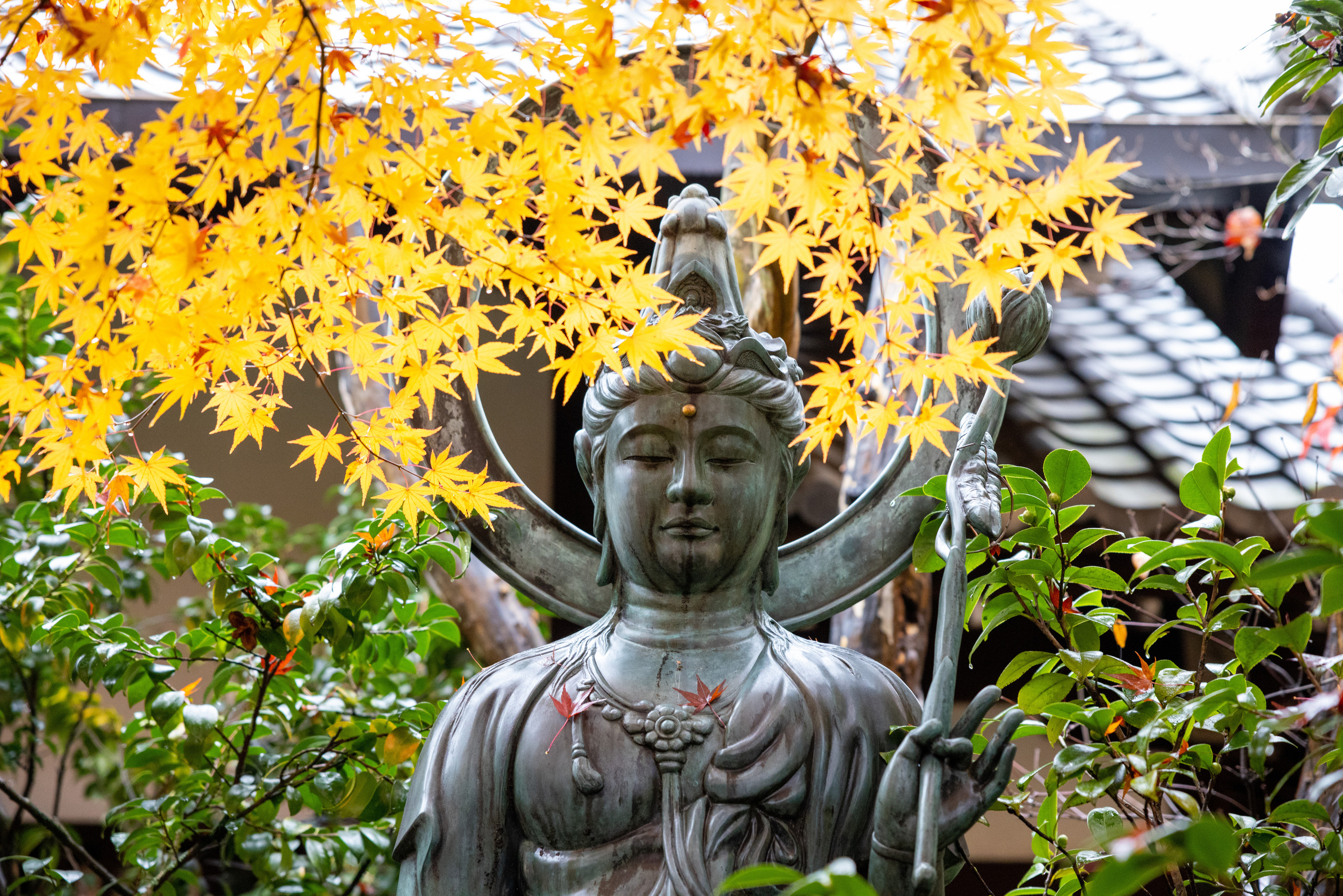 Япония. Фотографии Тиграна Худавердяна