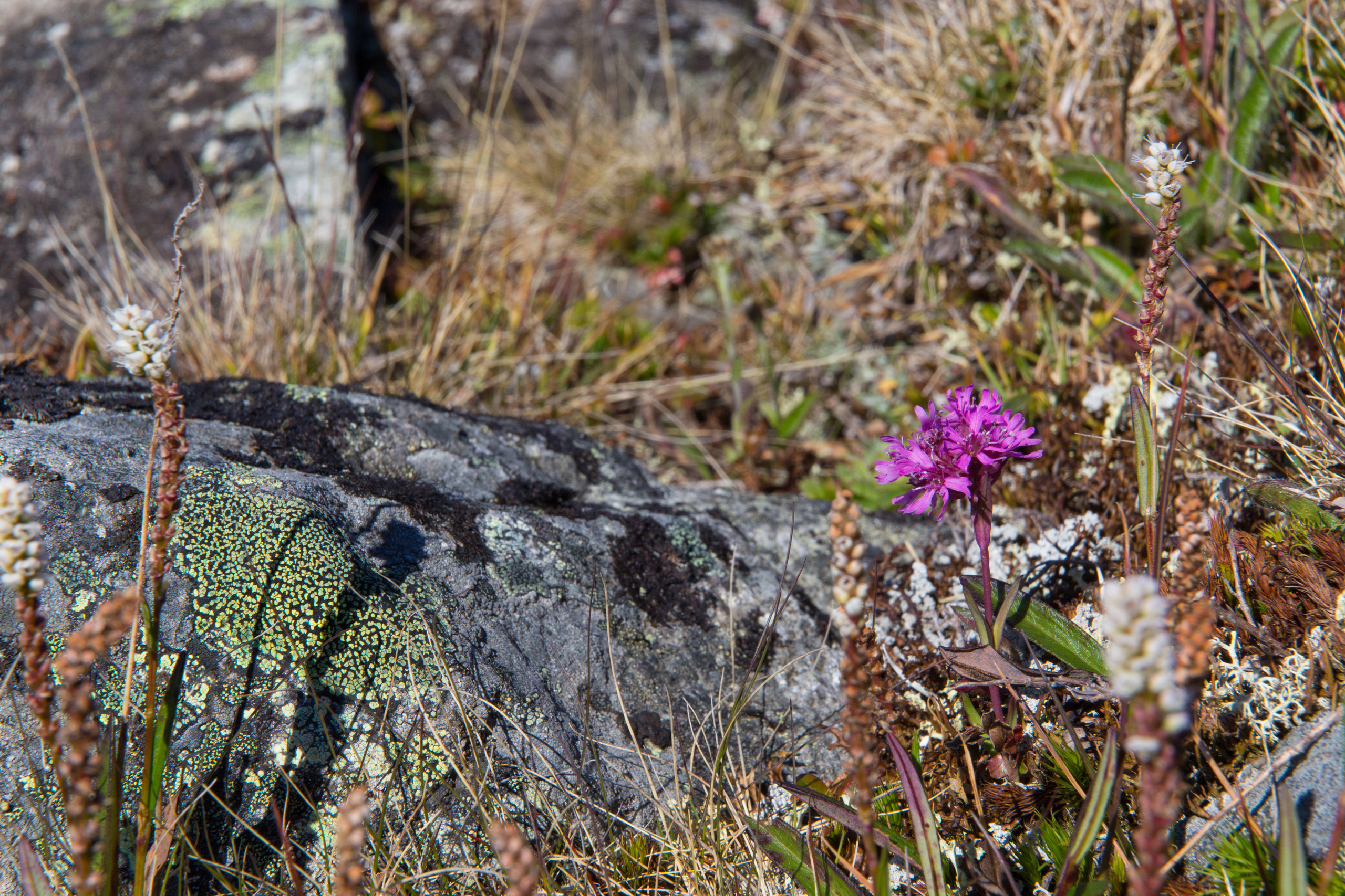 Норвегия. Фотографии Тиграна Худавердяна