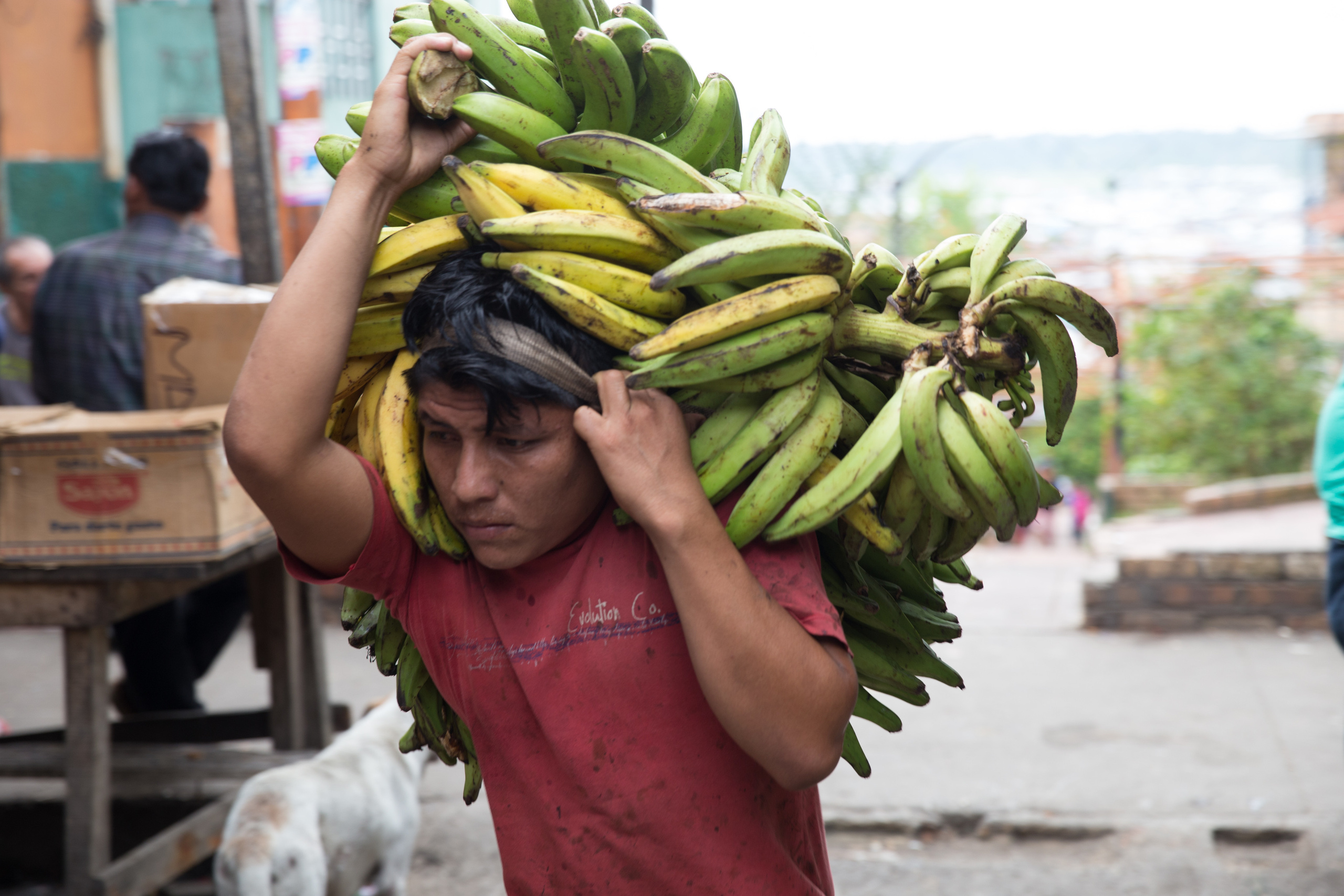 Лица. Фотографии Тиграна Худавердяна