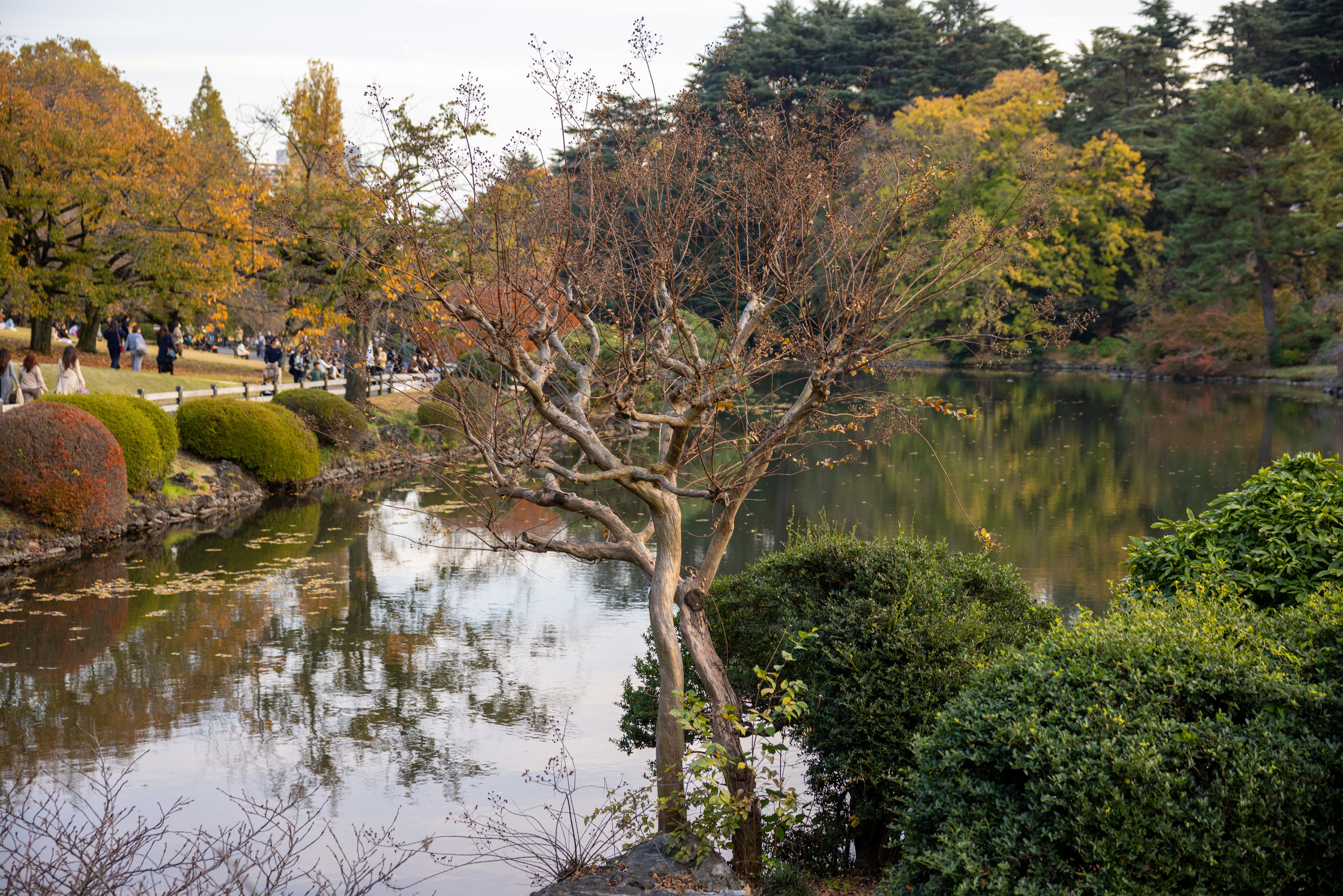 Япония. Фотографии Тиграна Худавердяна