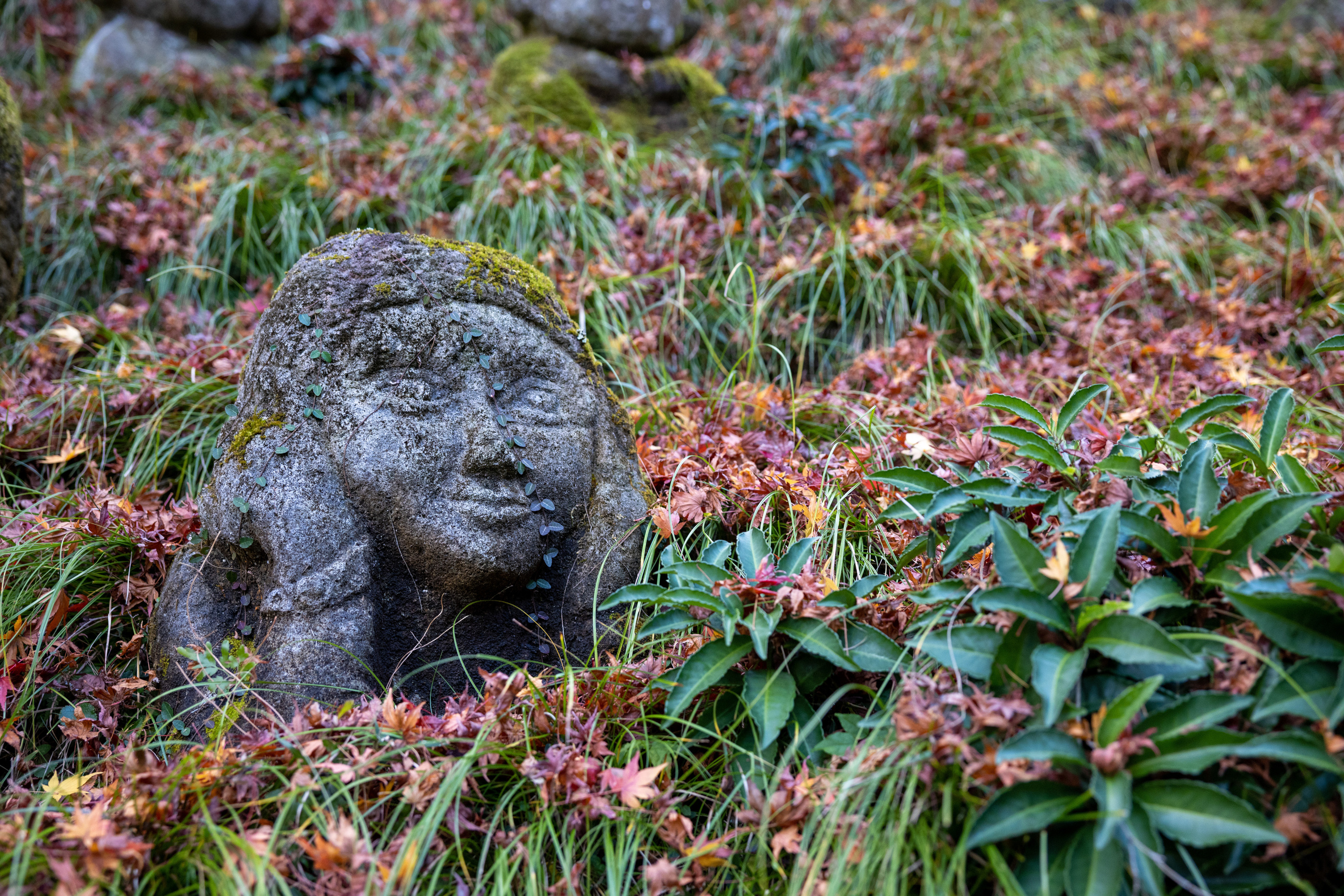 Япония. Фотографии Тиграна Худавердяна