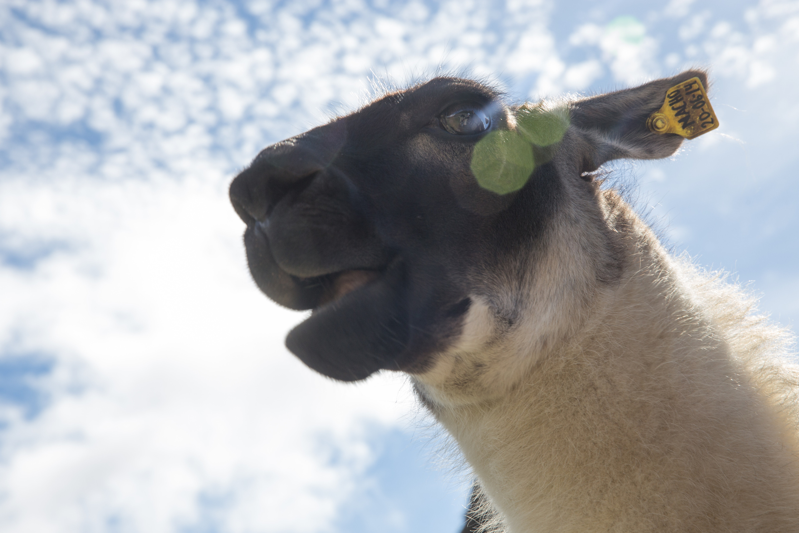 Перу. Фотографии Тиграна Худавердяна