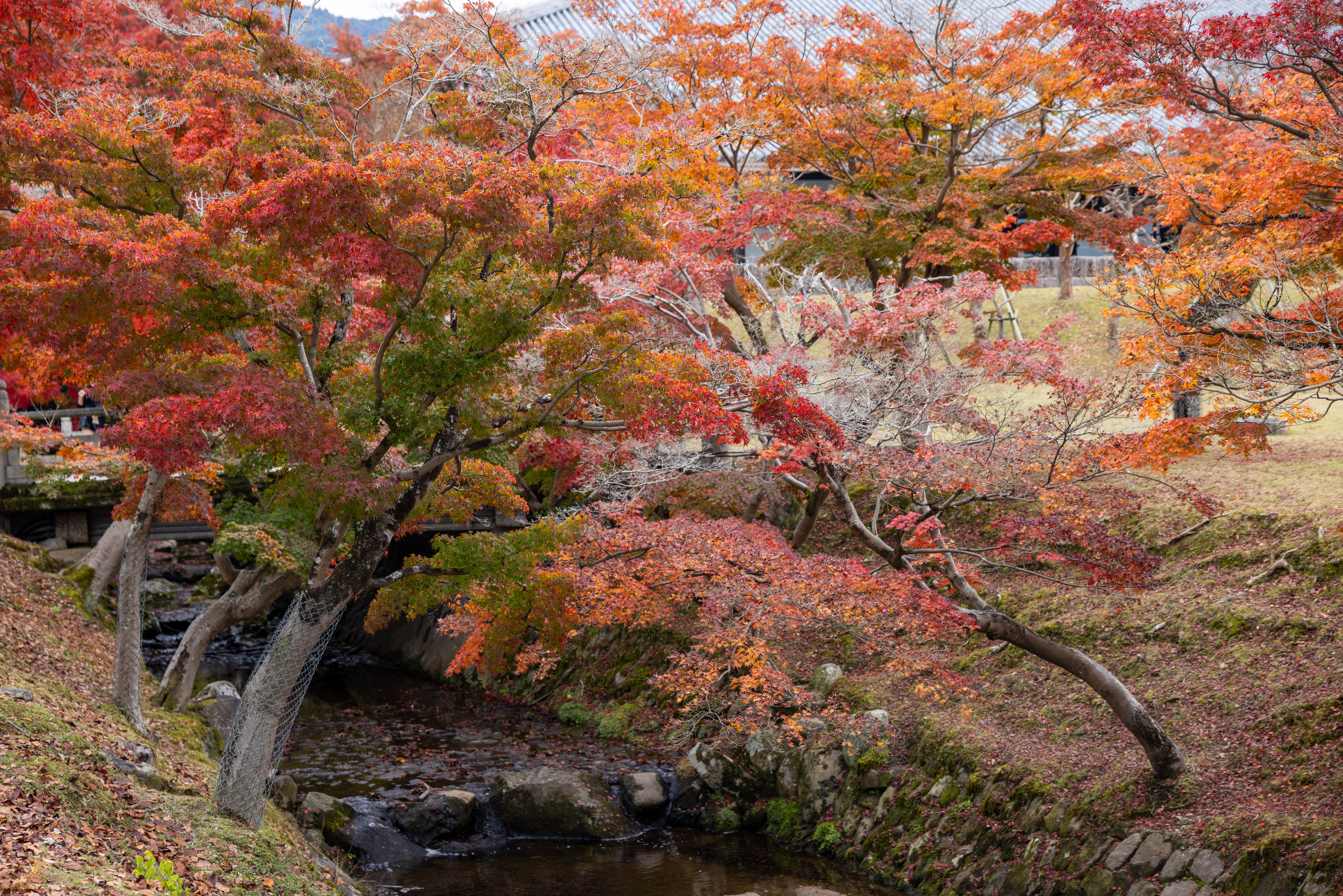 Япония. Фотографии Тиграна Худавердяна