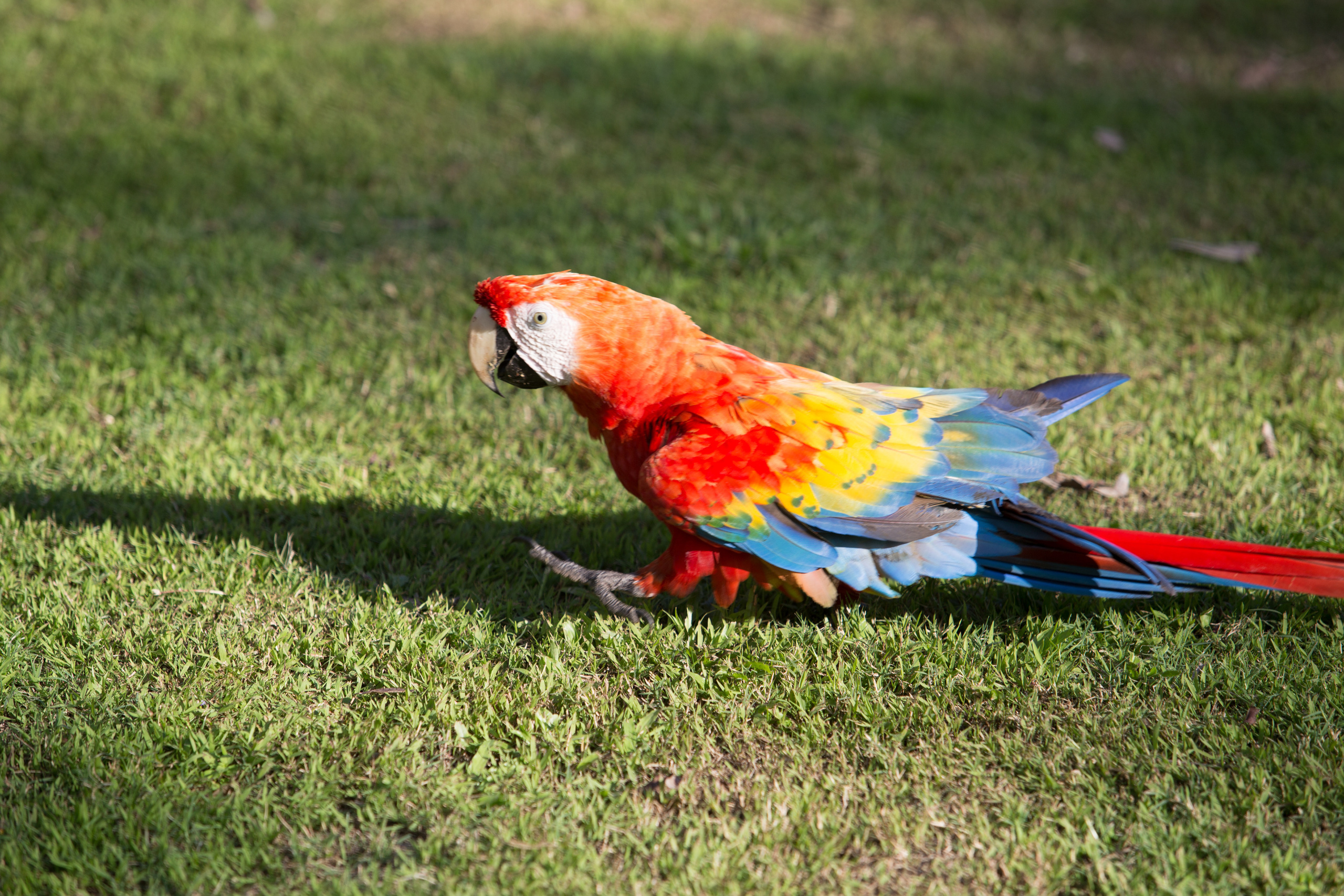 Перу. Фотографии Тиграна Худавердяна