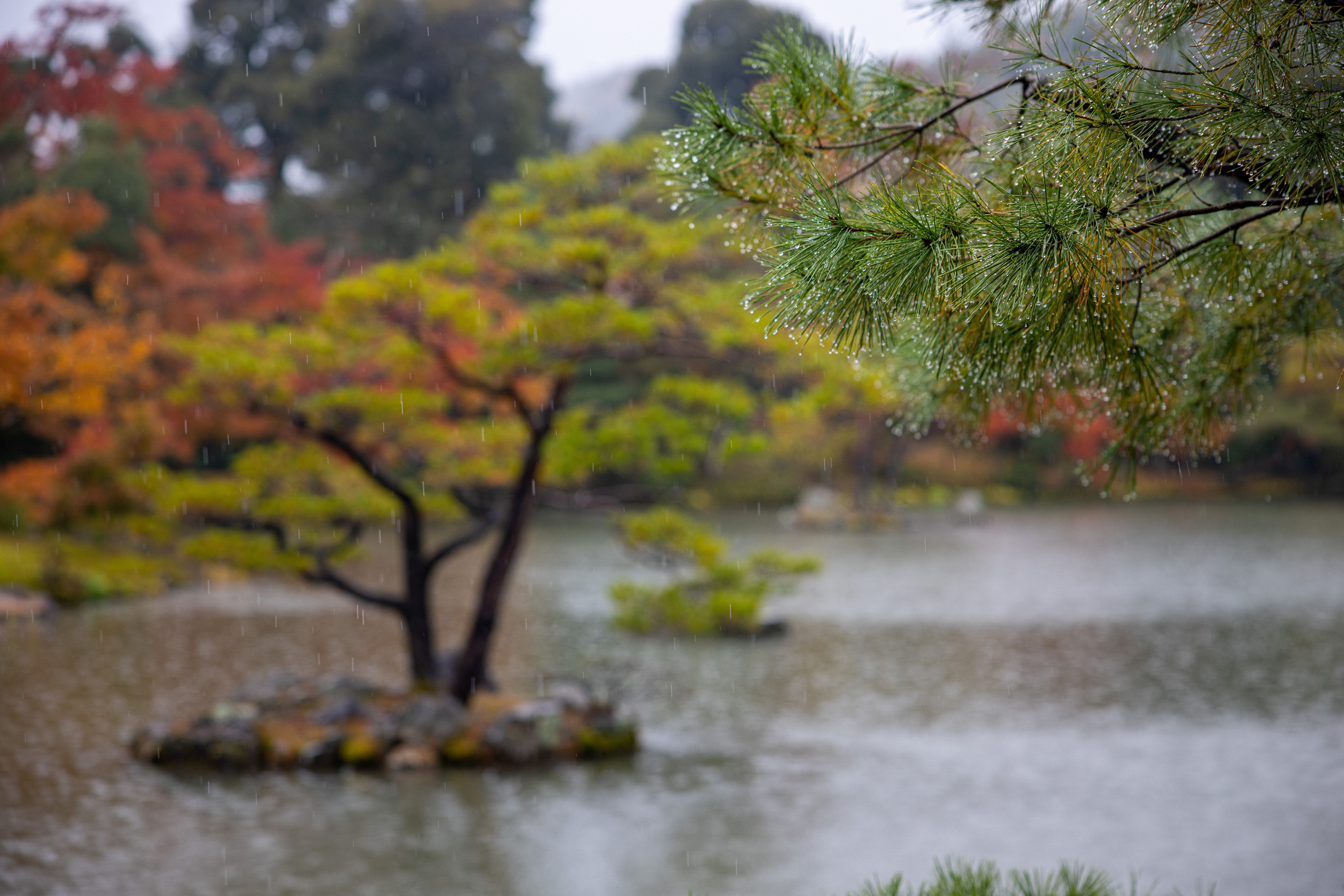 Япония. Фотографии Тиграна Худавердяна