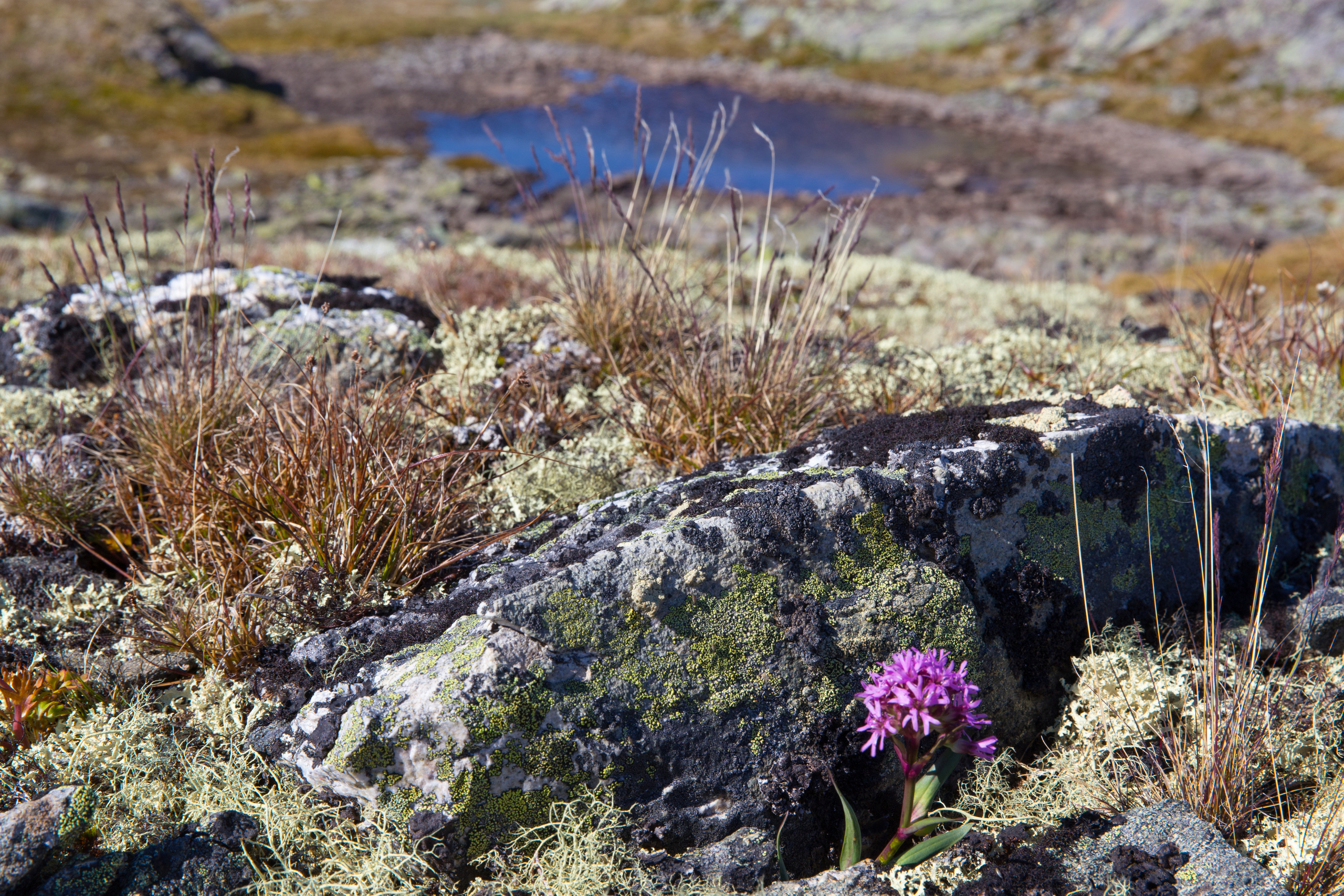 Норвегия. Фотографии Тиграна Худавердяна