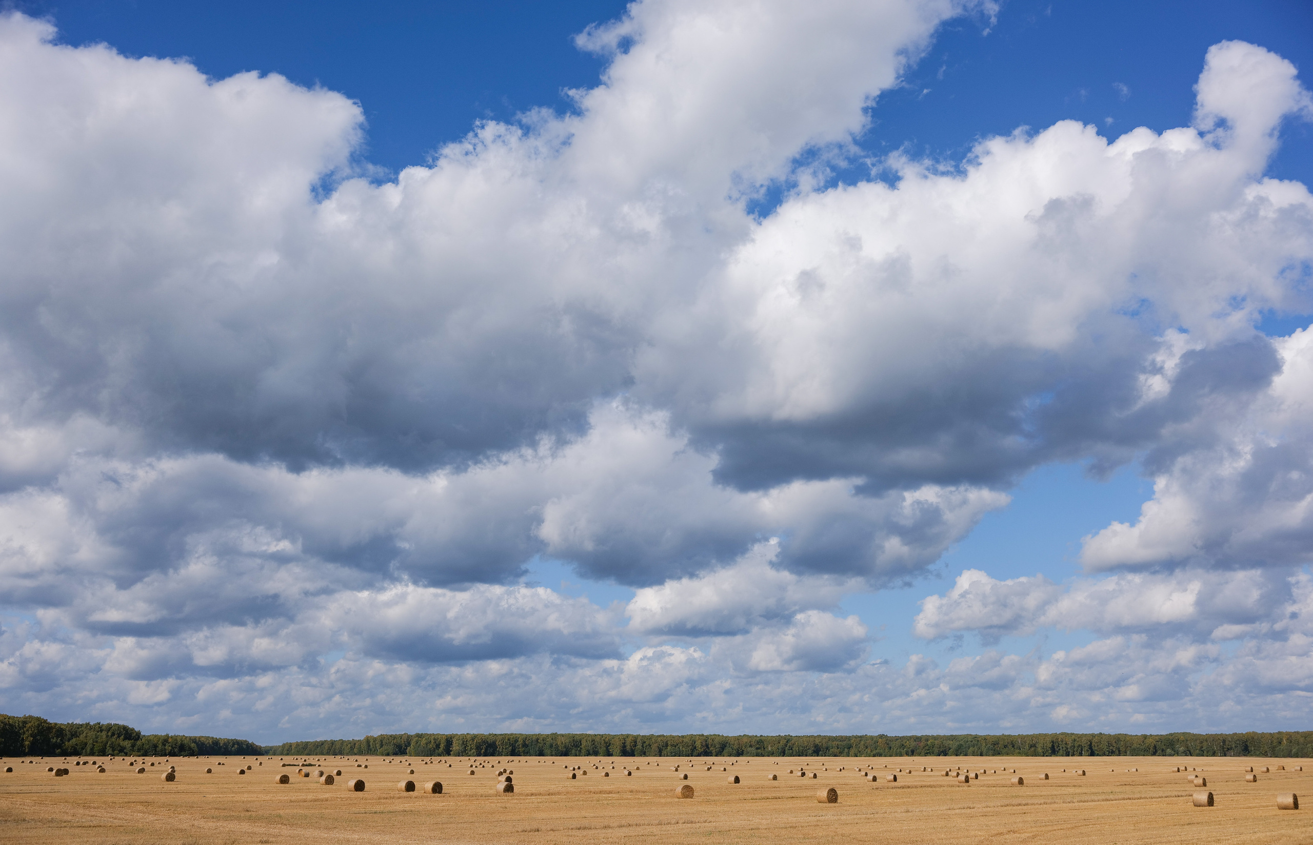 Wall. Photographs by Tigran Khudaverdyan