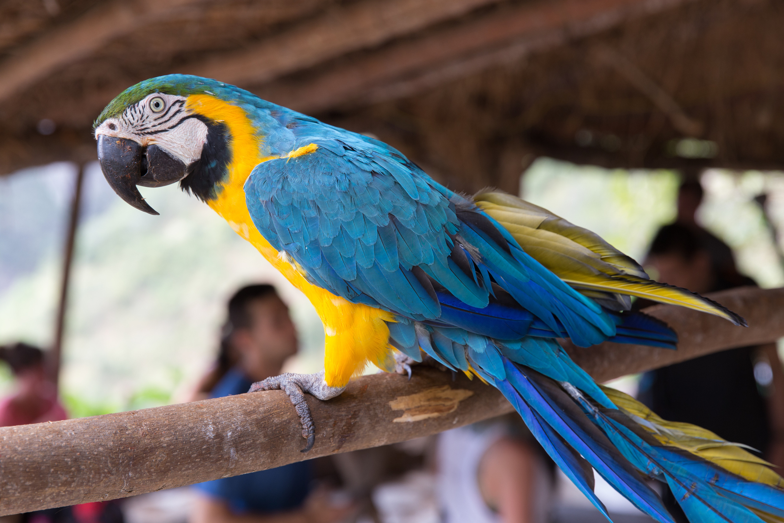 Перу. Фотографии Тиграна Худавердяна