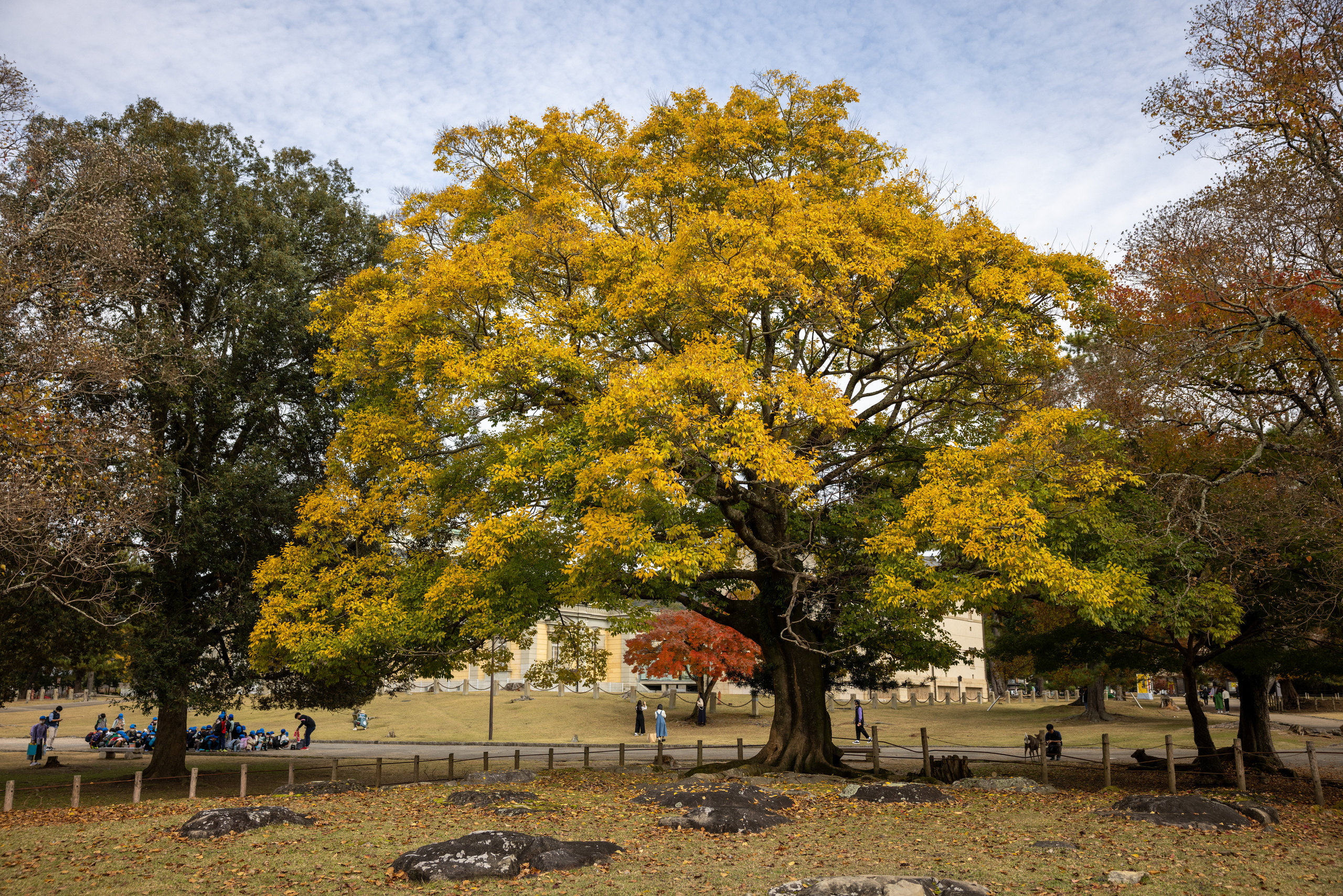 Япония. Фотографии Тиграна Худавердяна