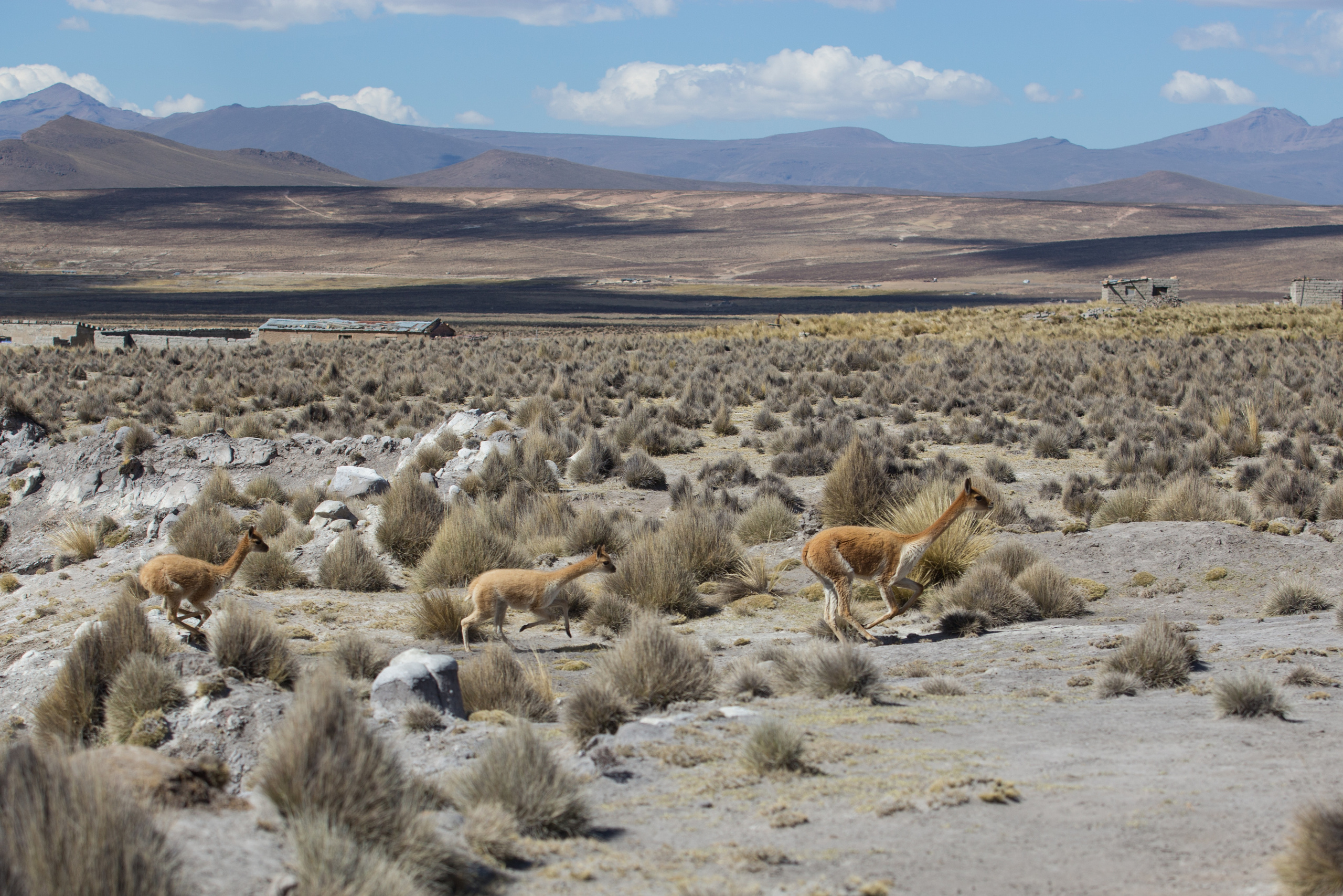 Wall. Photographs by Tigran Khudaverdyan