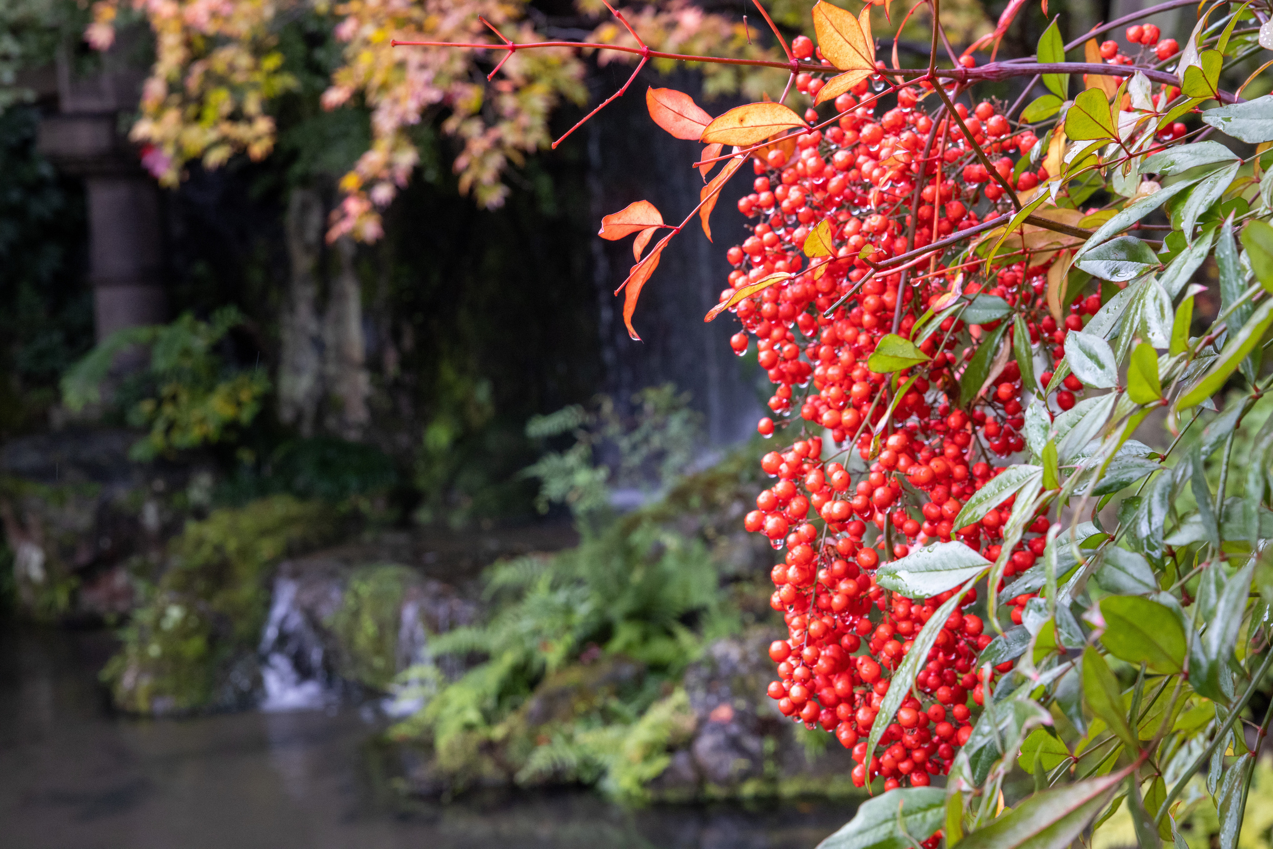 Япония. Фотографии Тиграна Худавердяна