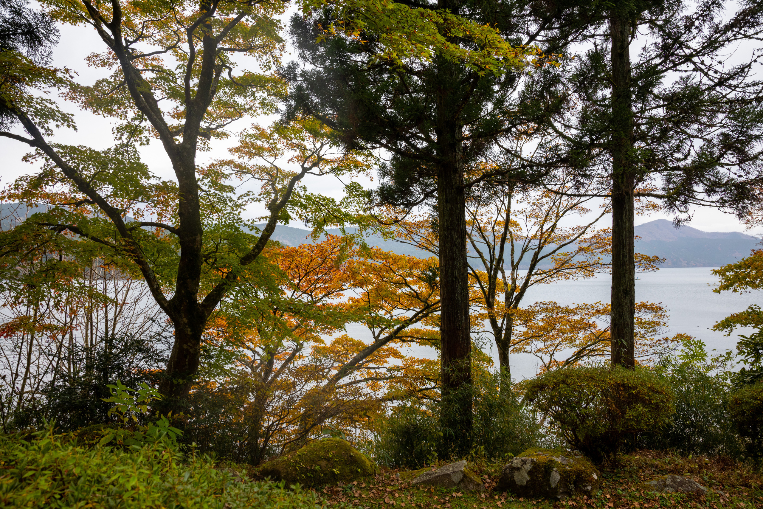 Япония. Фотографии Тиграна Худавердяна
