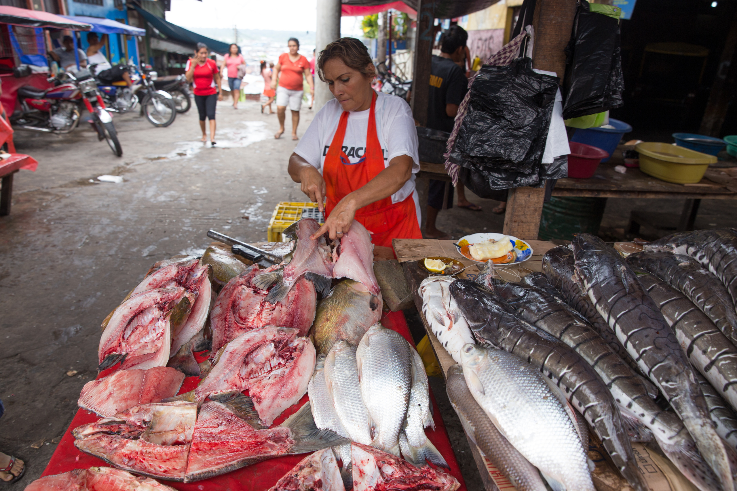 Перу. Фотографии Тиграна Худавердяна