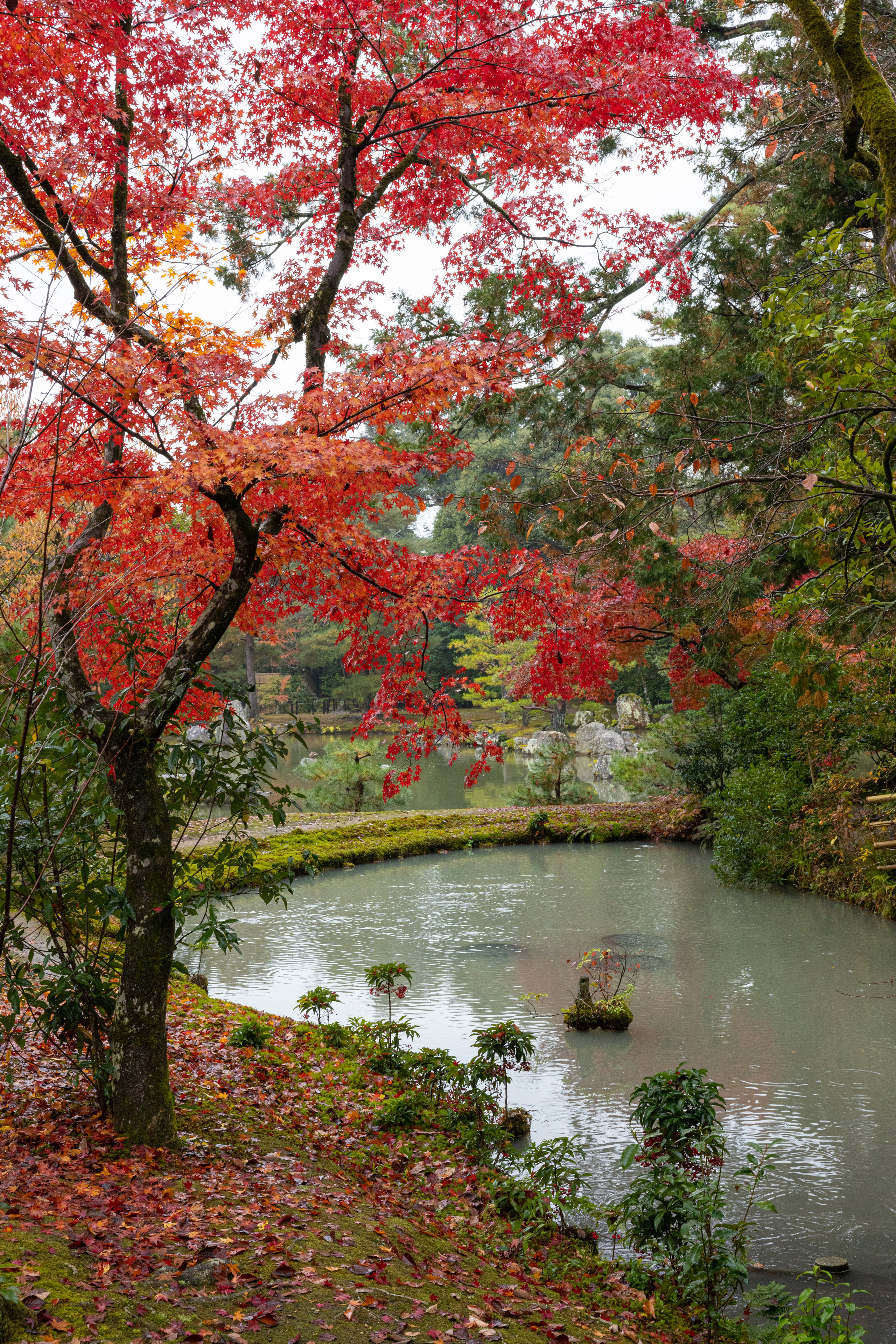 Япония. Фотографии Тиграна Худавердяна