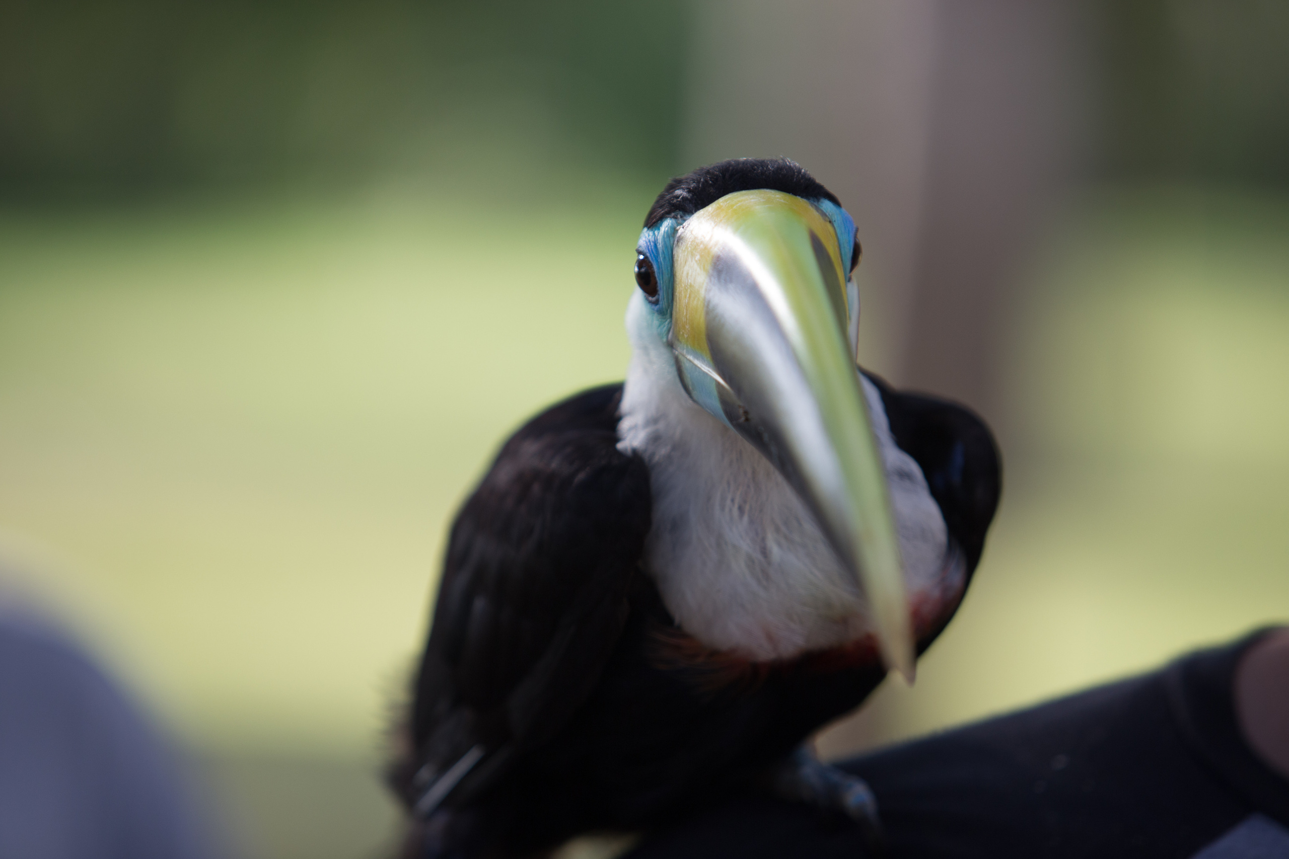 Перу. Фотографии Тиграна Худавердяна