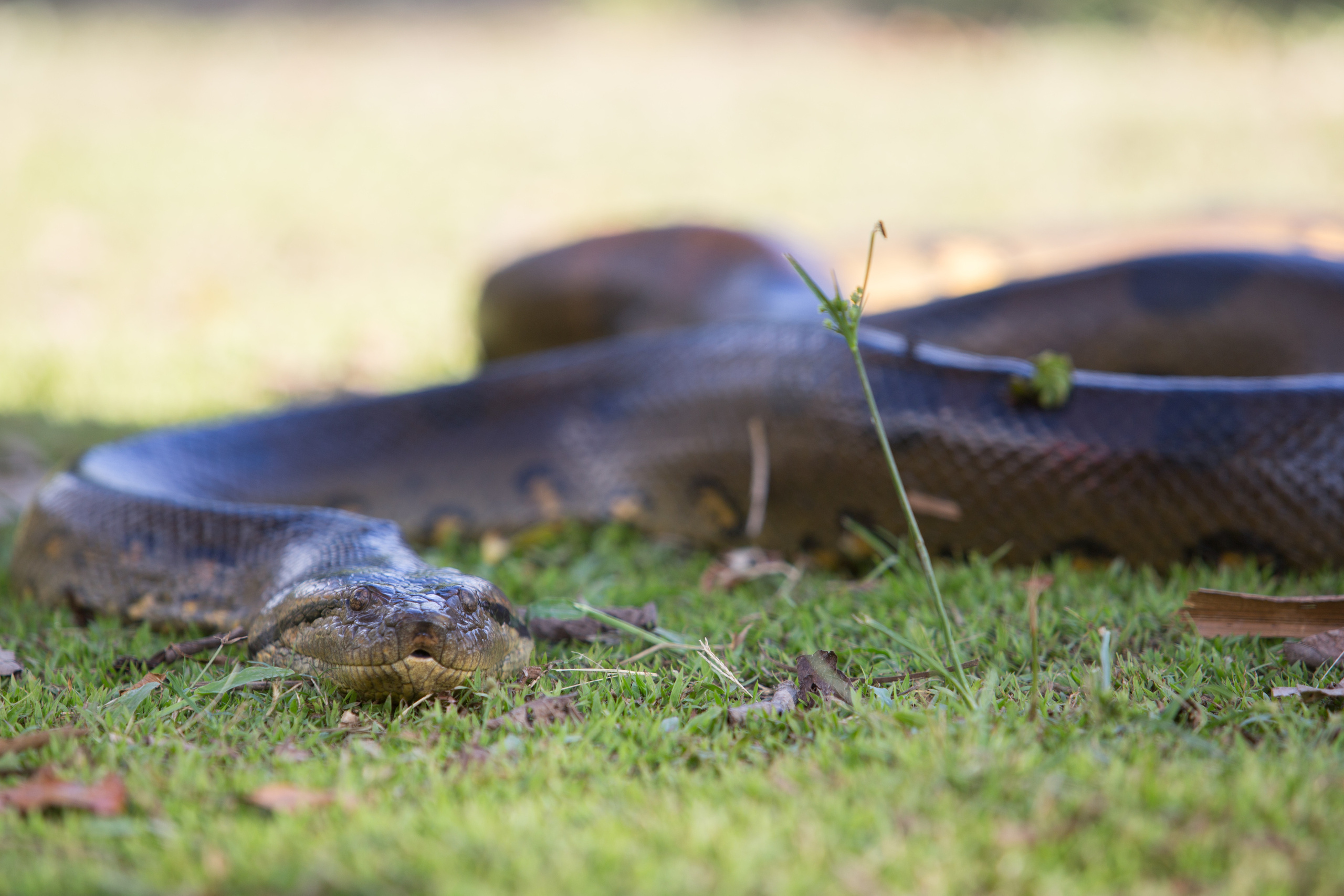 Перу. Фотографии Тиграна Худавердяна