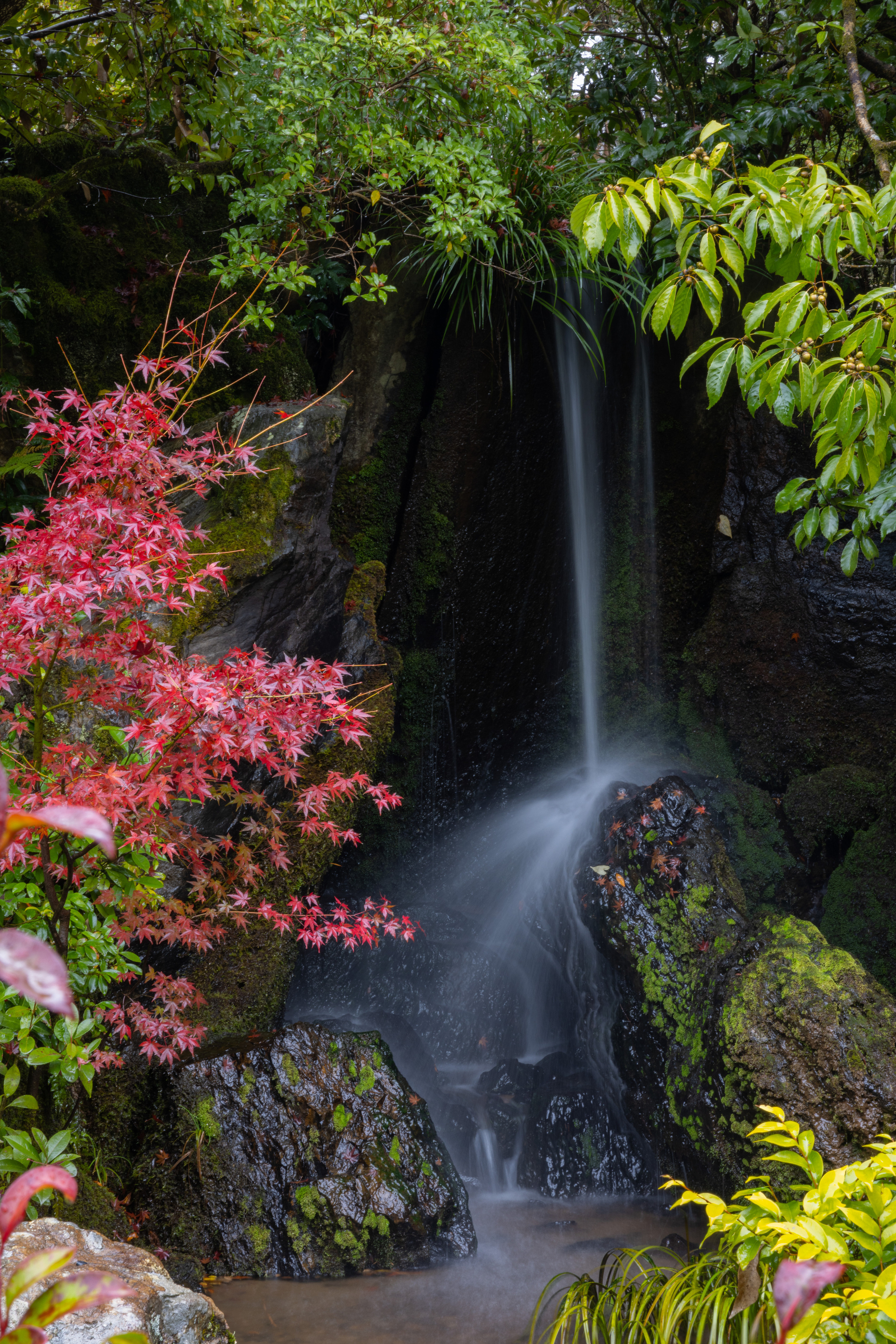 Япония. Фотографии Тиграна Худавердяна