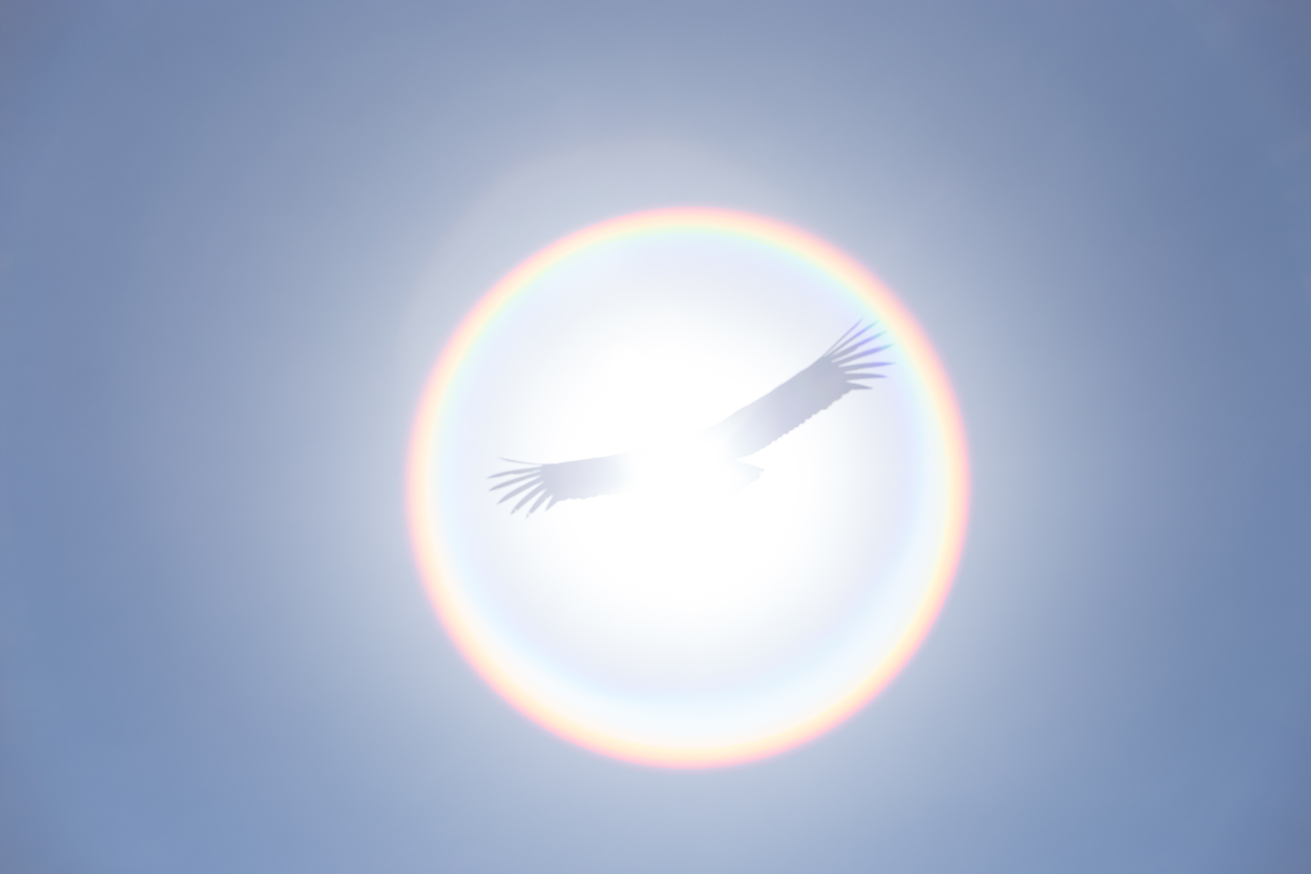 Wall. Photographs by Tigran Khudaverdyan