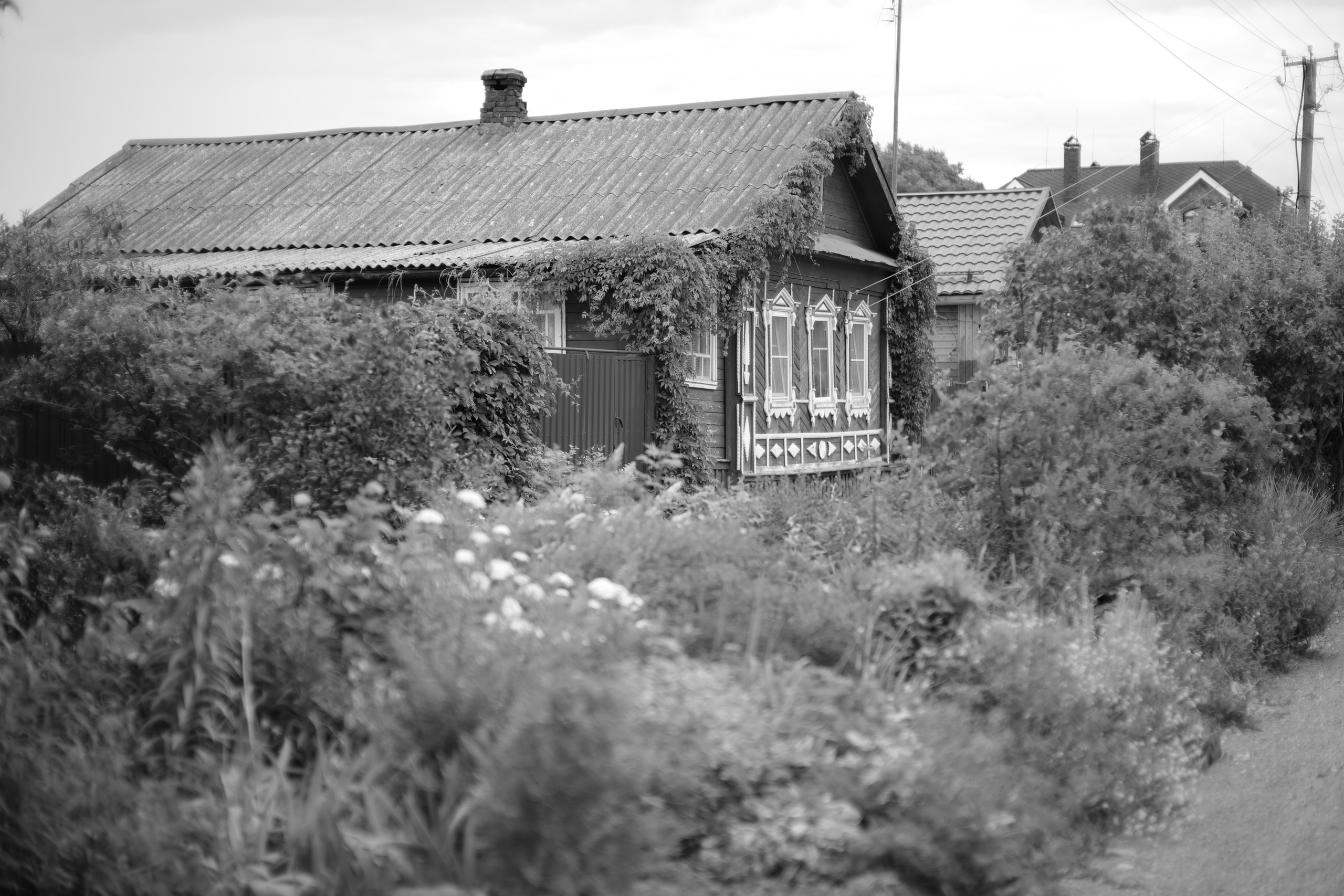 Москва — Плёс. Фотографии Тиграна Худавердяна