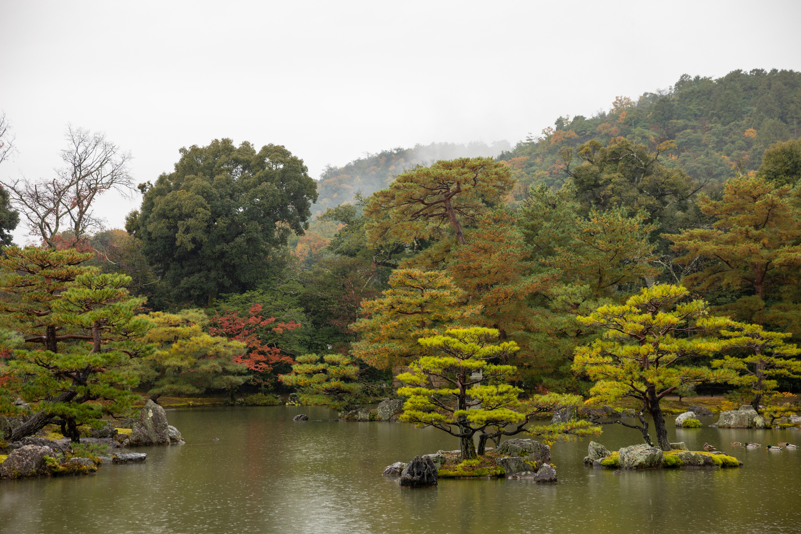 Япония. Фотографии Тиграна Худавердяна