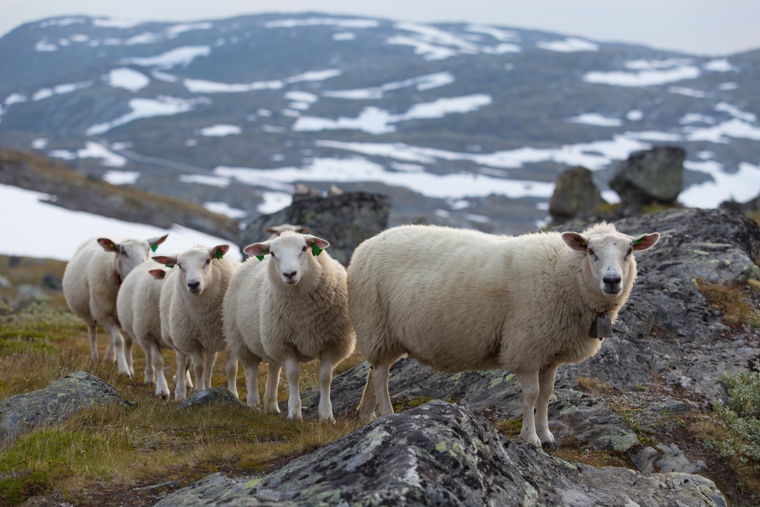 Wall. Photographs by Tigran Khudaverdyan