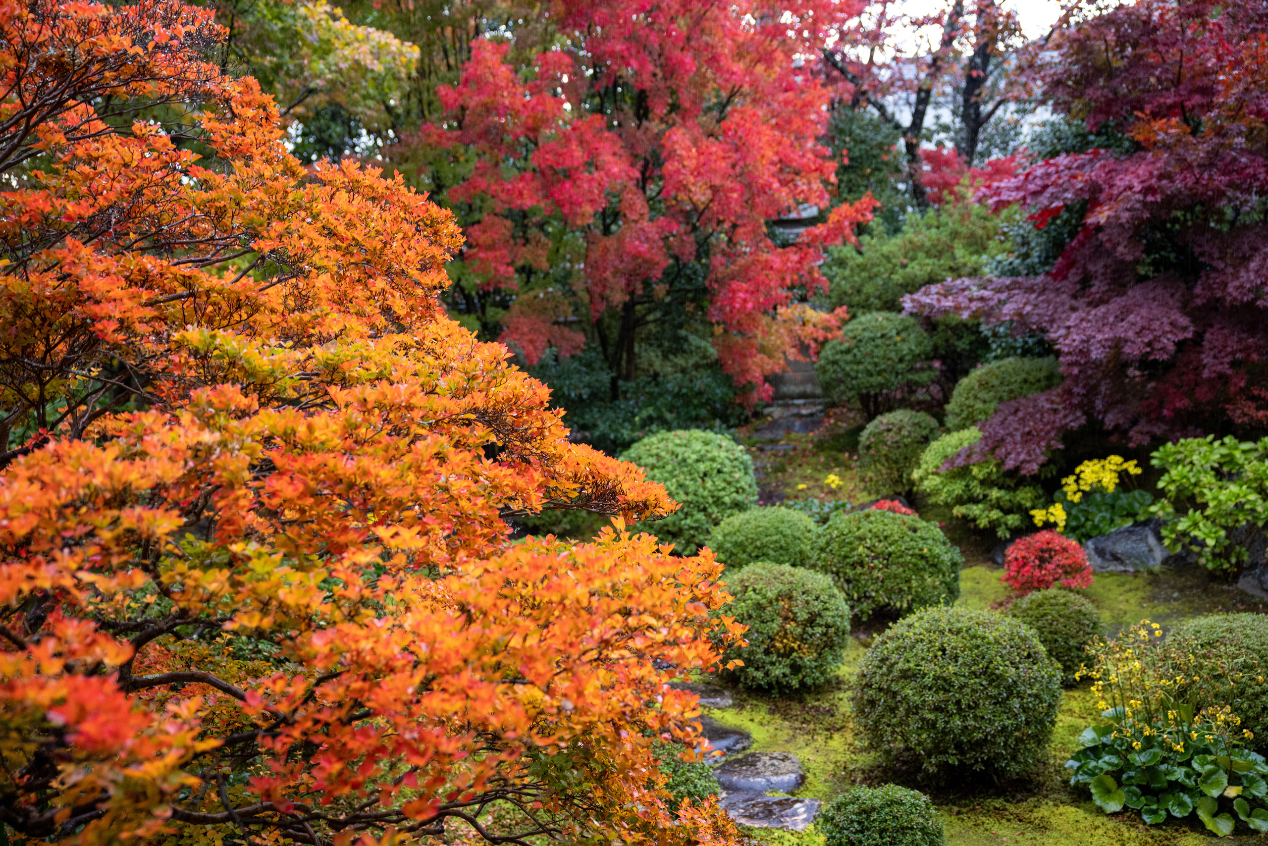 Япония. Фотографии Тиграна Худавердяна