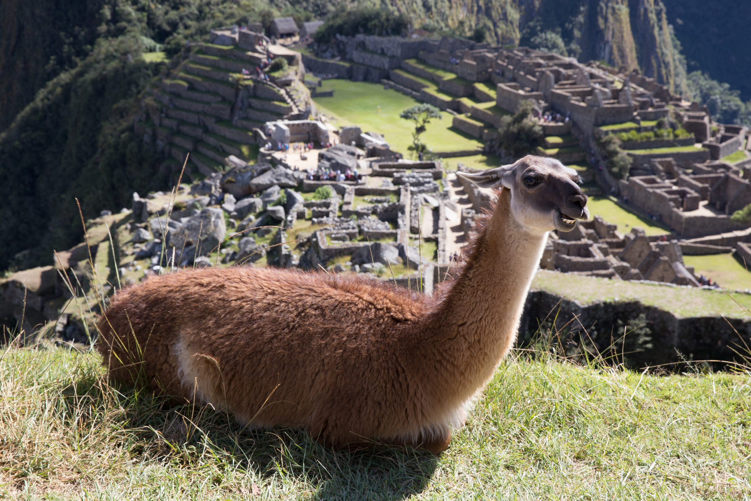 Перу. Фотографии Тиграна Худавердяна