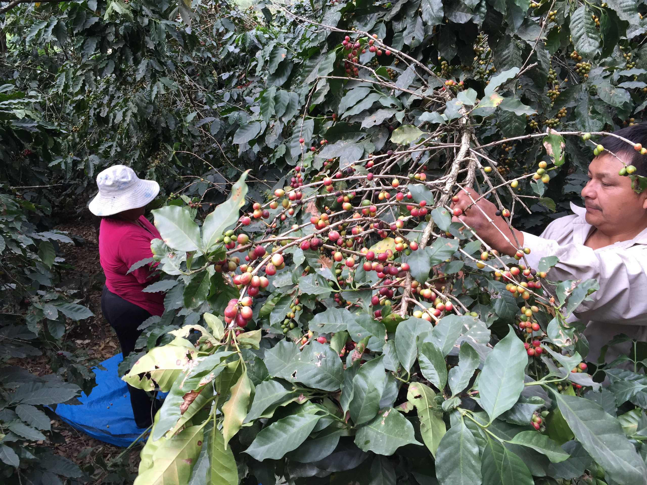 Перу. Фотографии Тиграна Худавердяна